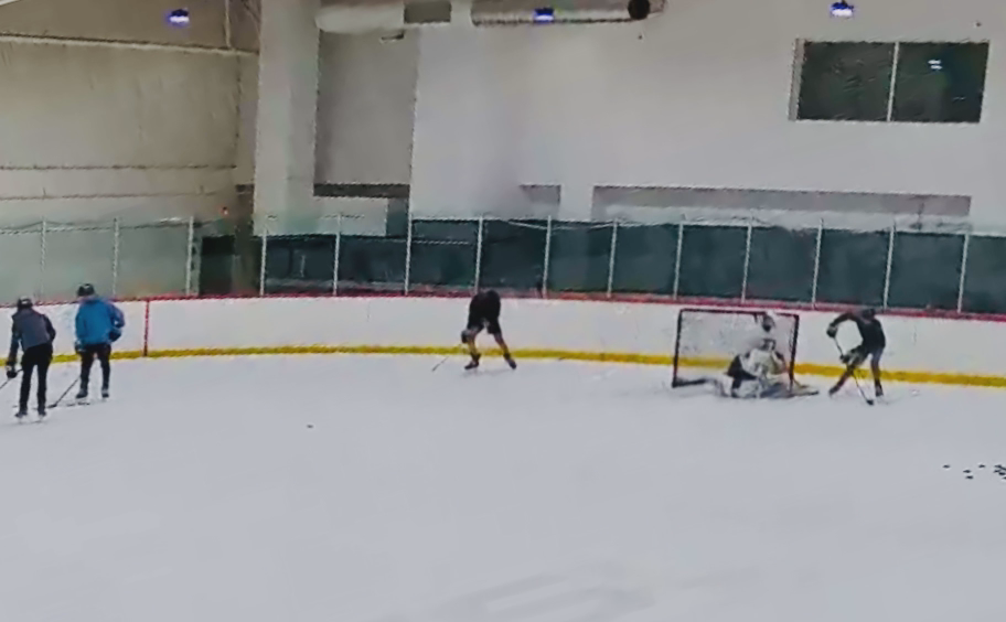 Lucas Disiewich: No Quit in DHA Goalie Training with The Goalie Group.