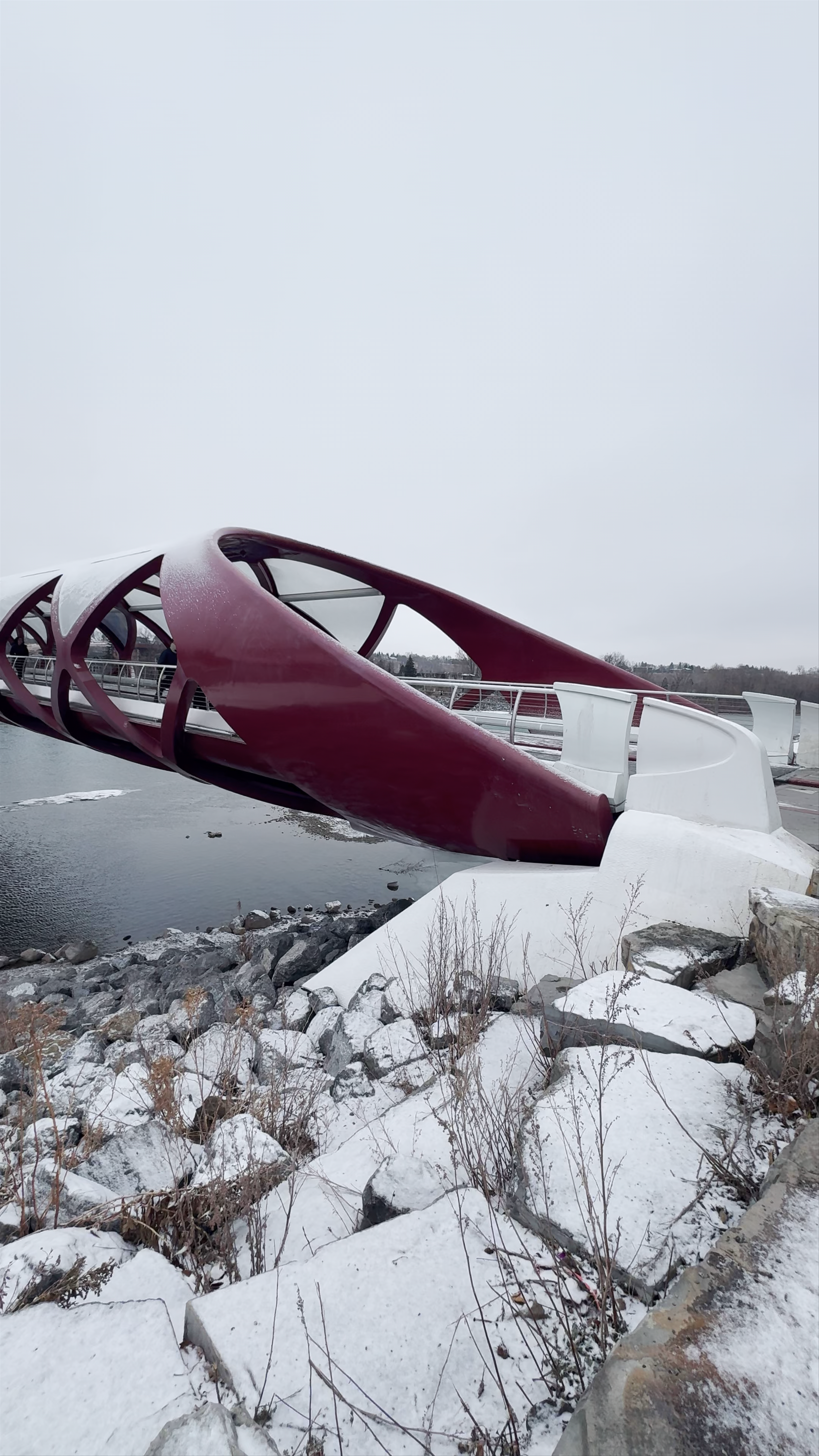 Peace Bridge in Calgary: Winter Stroll by the Bow River