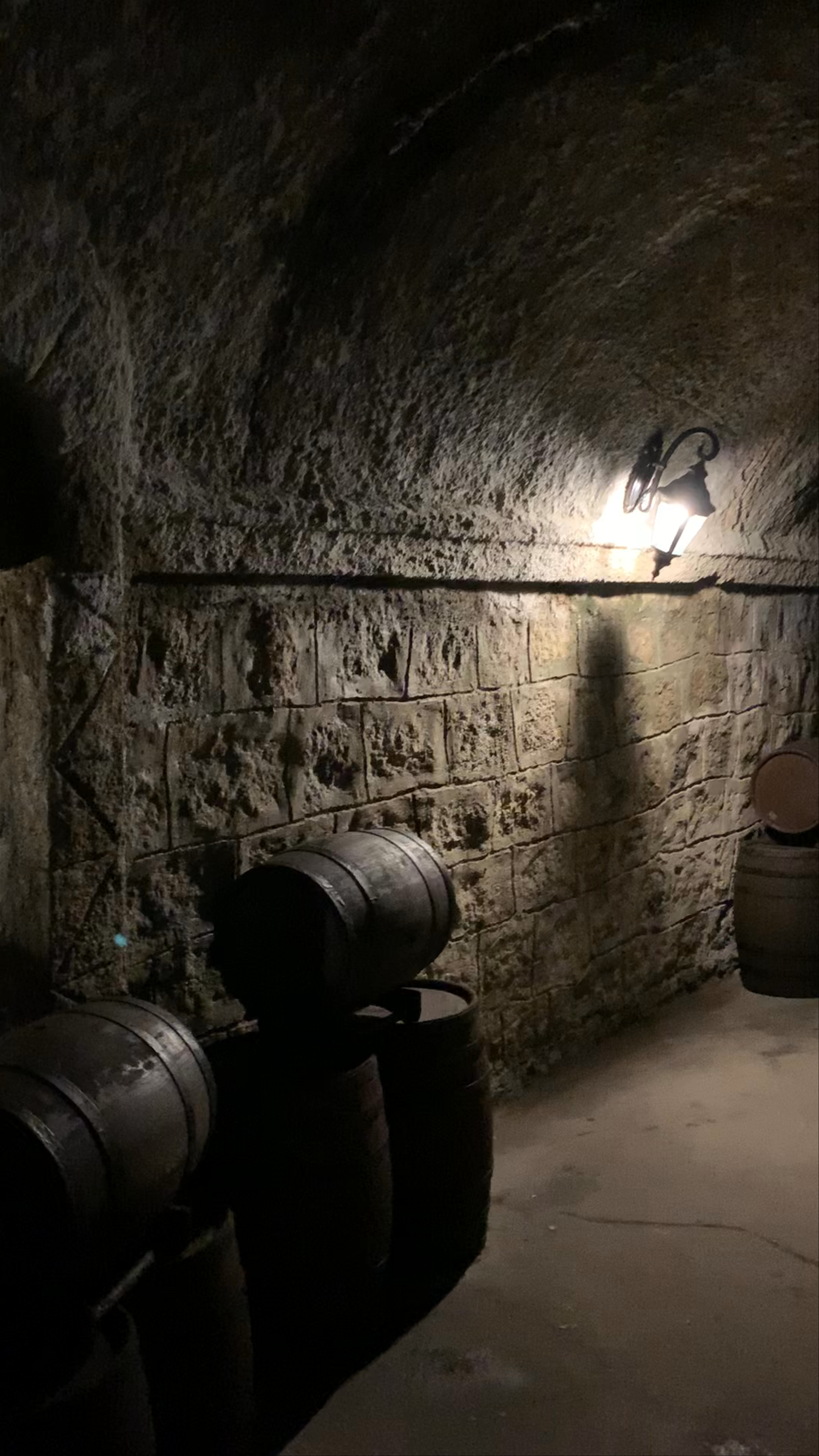 Debay Wine Cellar