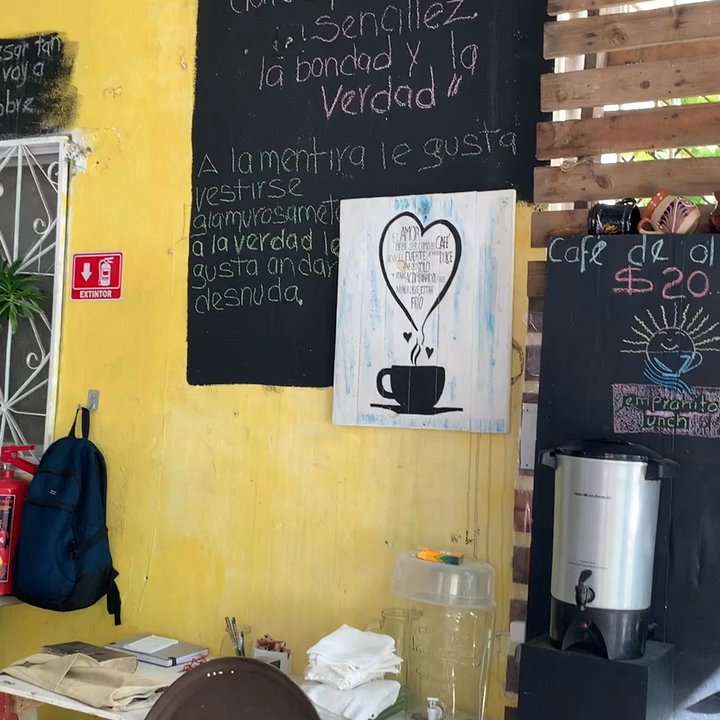 Tempranito Lunch - the inside of Tempranito Lunch, since a nice relaxing place. The owner was very kind and patient. - Mexican Near Me - Cancún, ROO