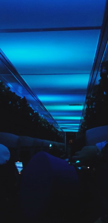 The Polar Express Train Ride - Festivals Near Me - Chicago, Illinois