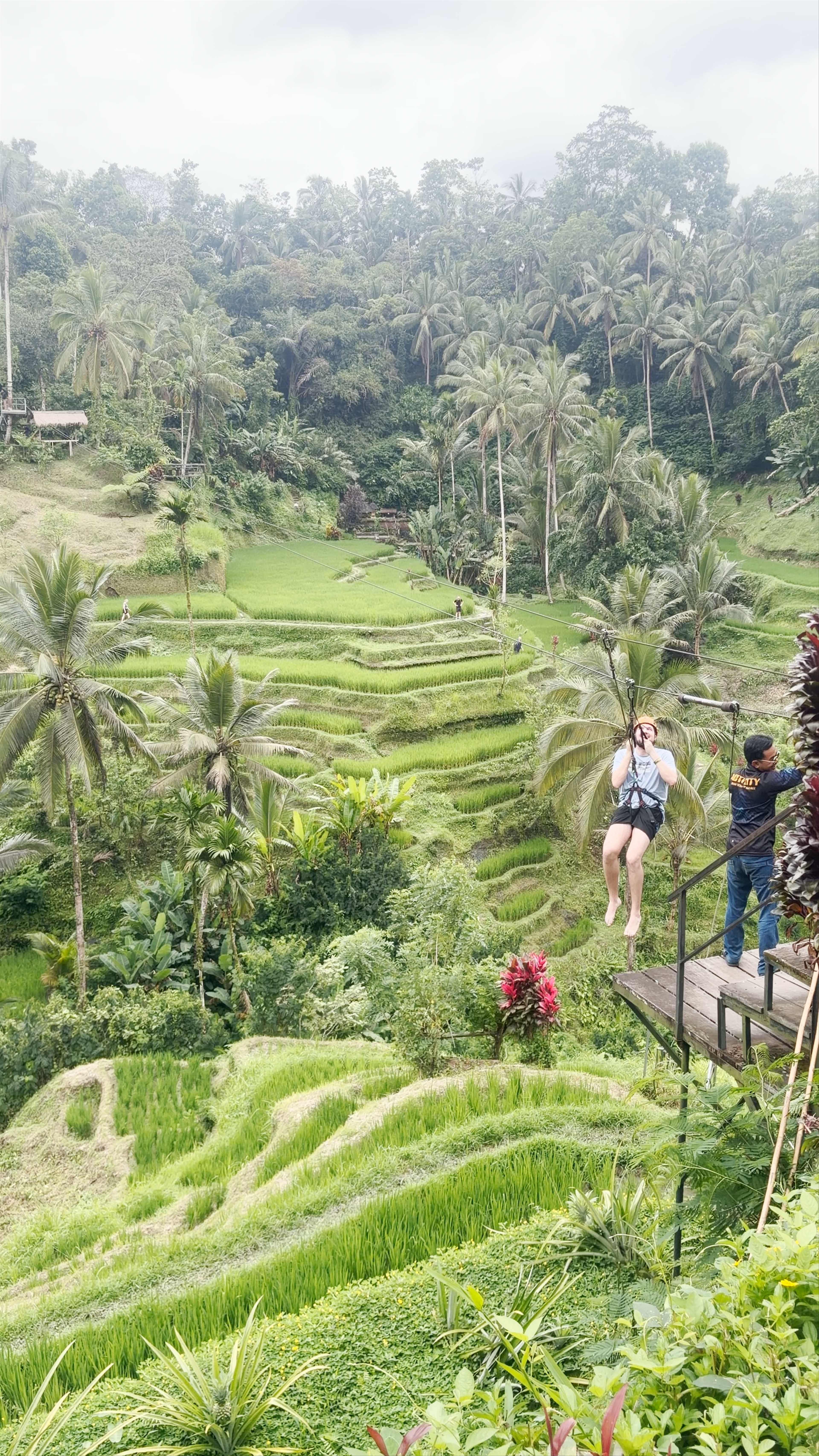 Tegallalang Rice Terrace