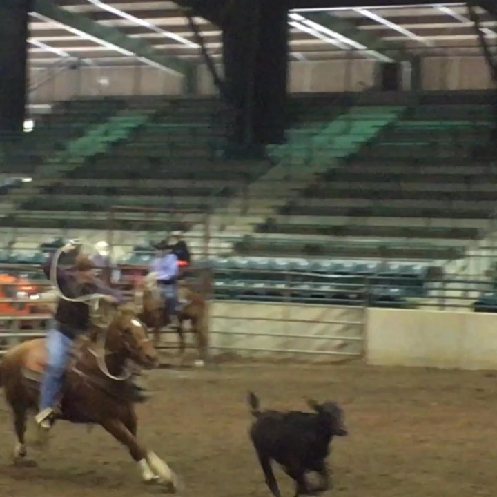 Lamar Dixon Exposition Center - Wesley Vidrine 3/5/17 Tie-down roping - Stadiums & Arenas Near Me - Gonzales, Louisiana