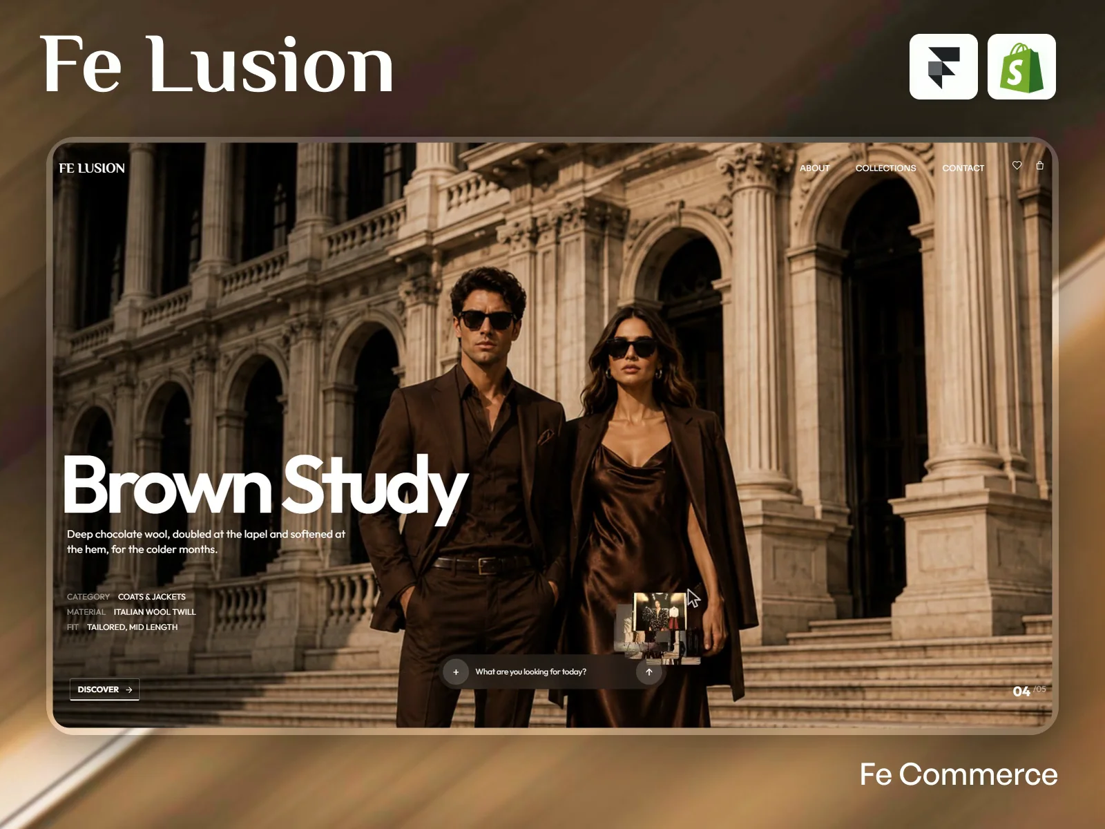 Fe Lusion
