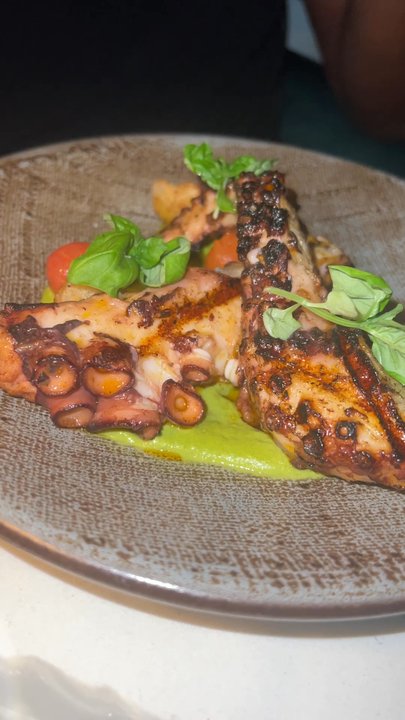 Albi - Food was bleh - Mediterranean Near Me - Houston, Texas
