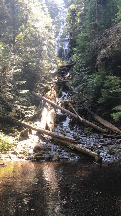 Proxy Falls - Hiking Near Me - Rainbow, Oregon