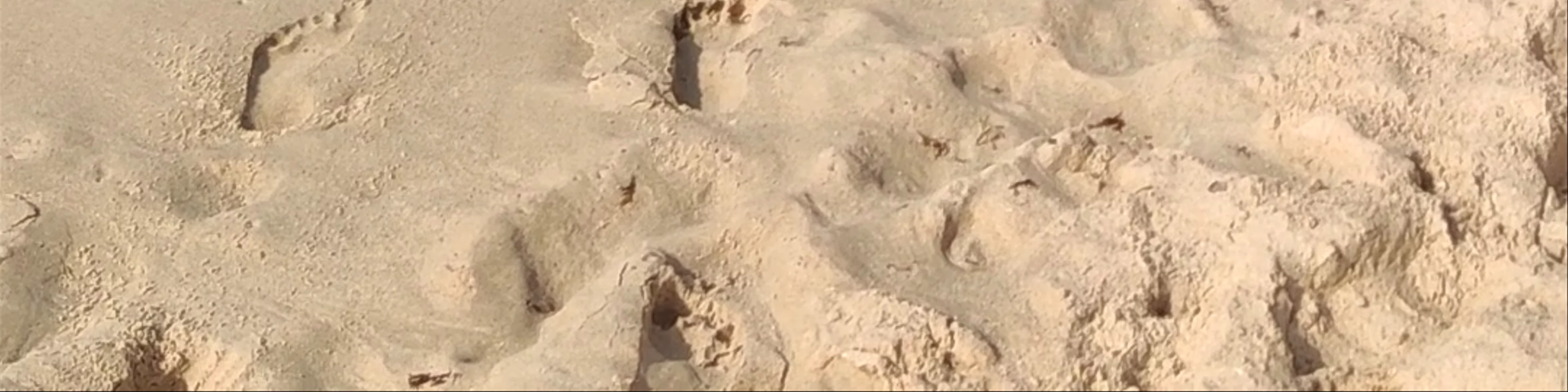 Playa Valdevaqueros