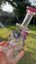 Small image 7