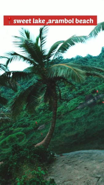 Photo of #samedifferent #empt