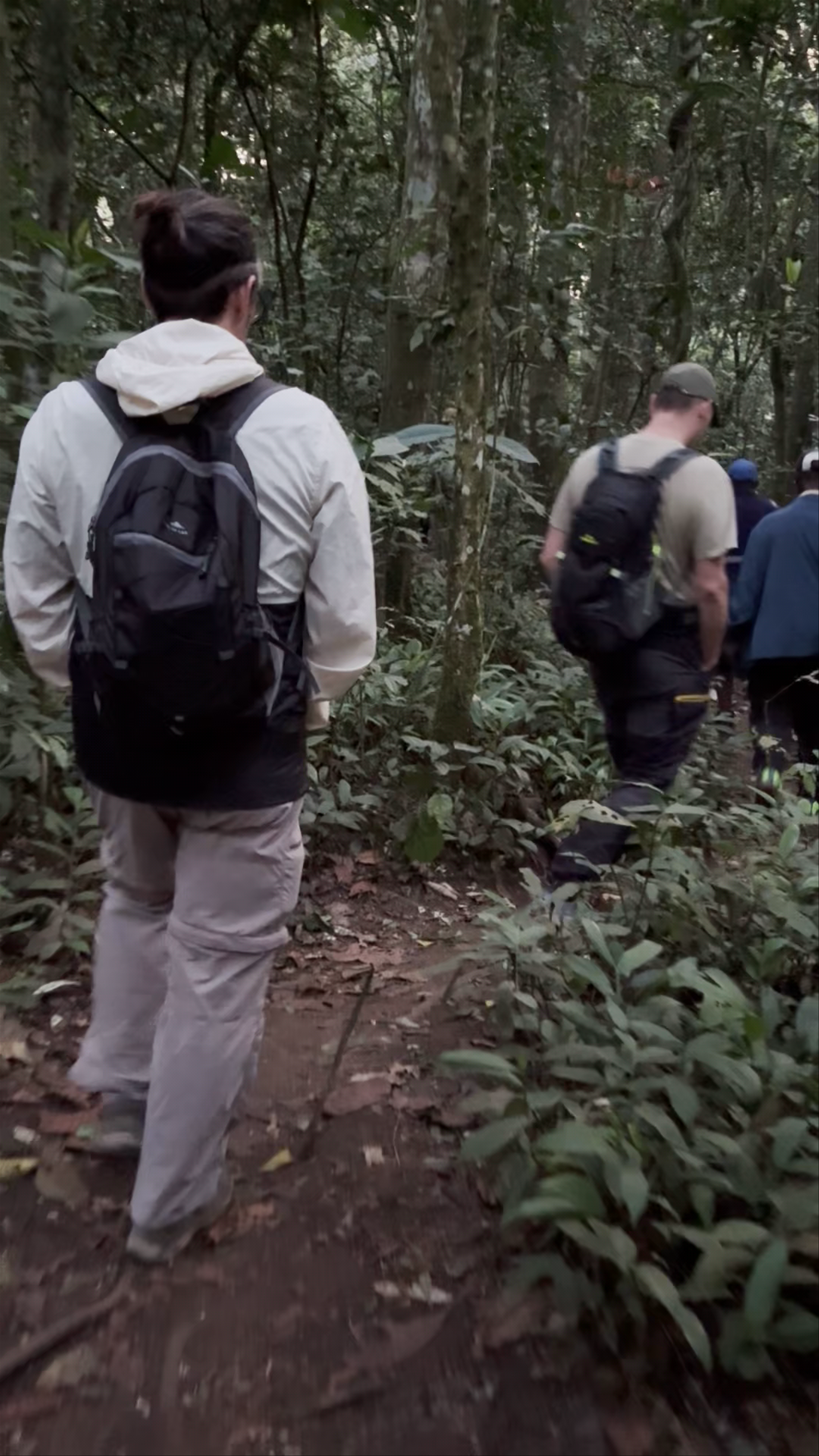 Chimp Trekking Check In