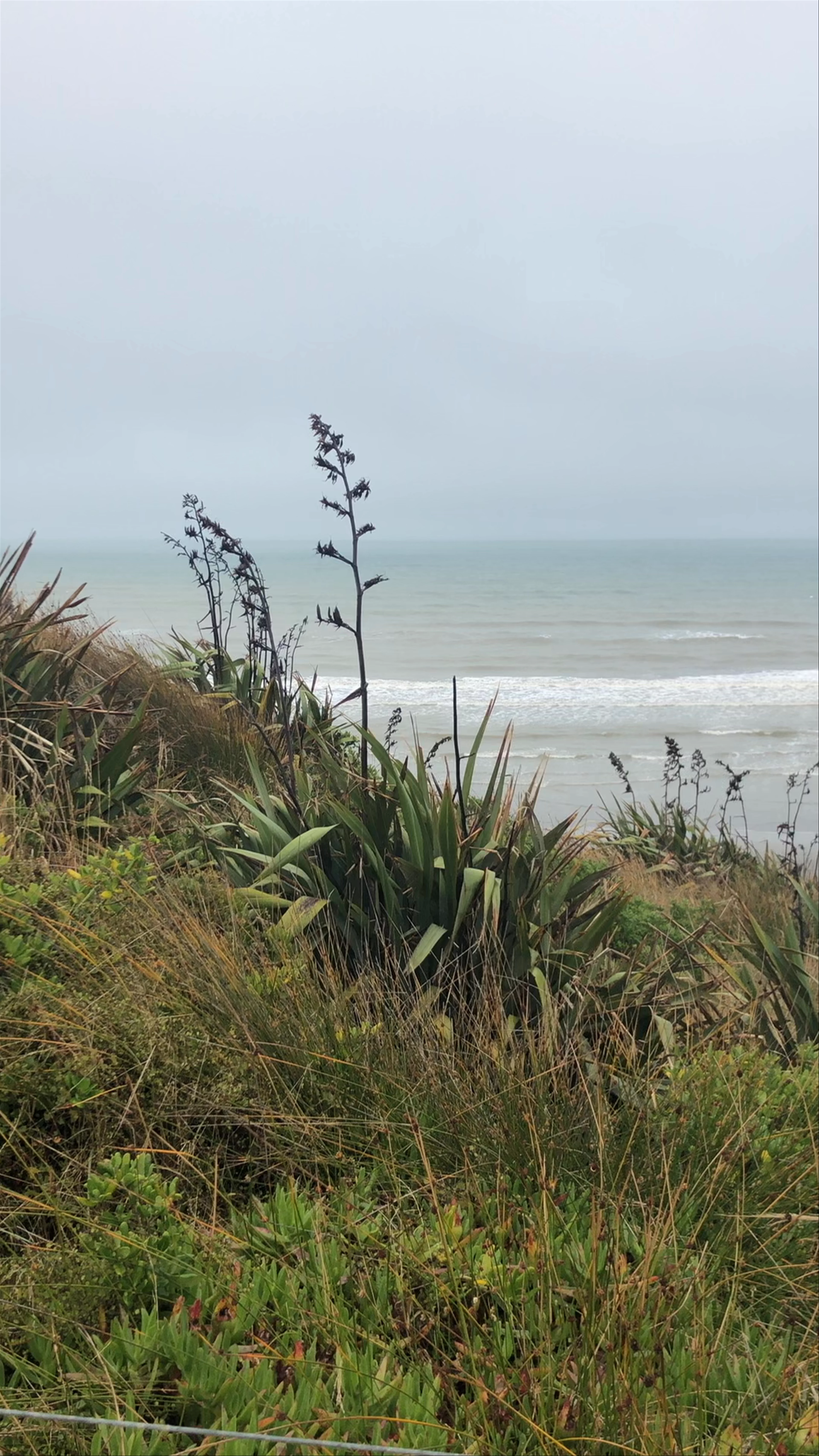 Plimmerton Beach