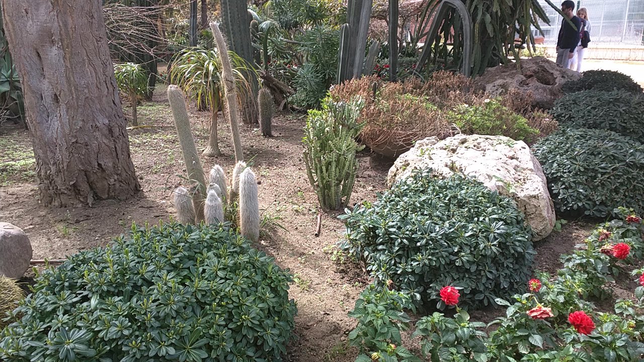 Parque Genovés - Botanical Gardens Near Me - Cádiz, California