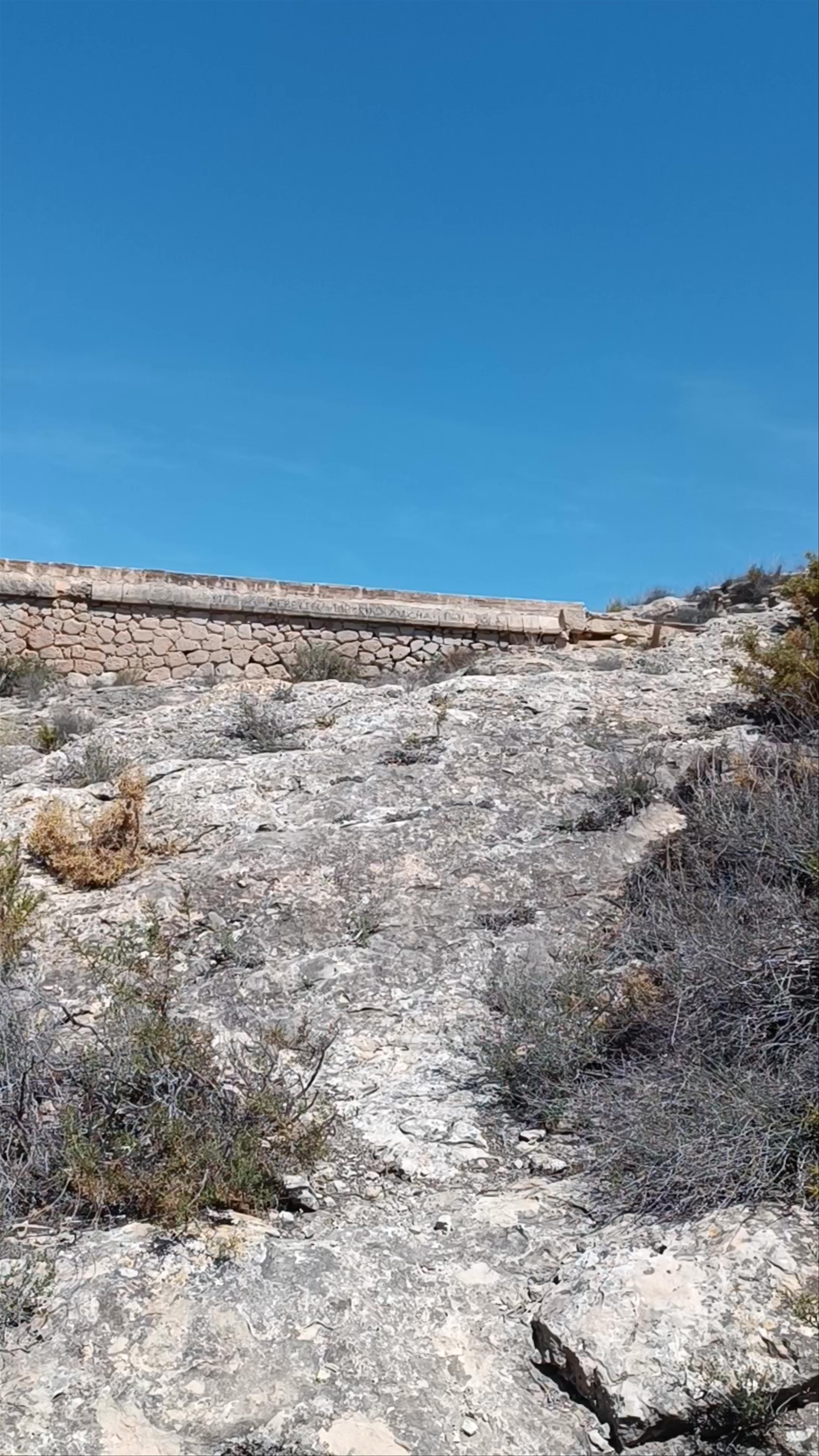 Exploring the Serene Explanada del Pantano de Elche in Spain