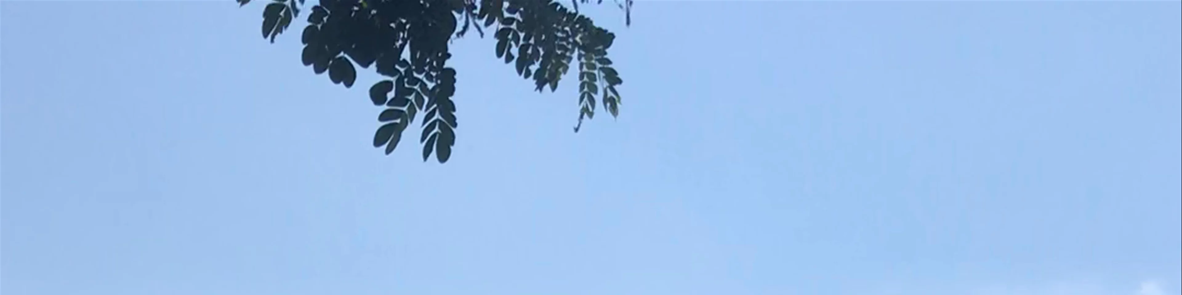 Kapal