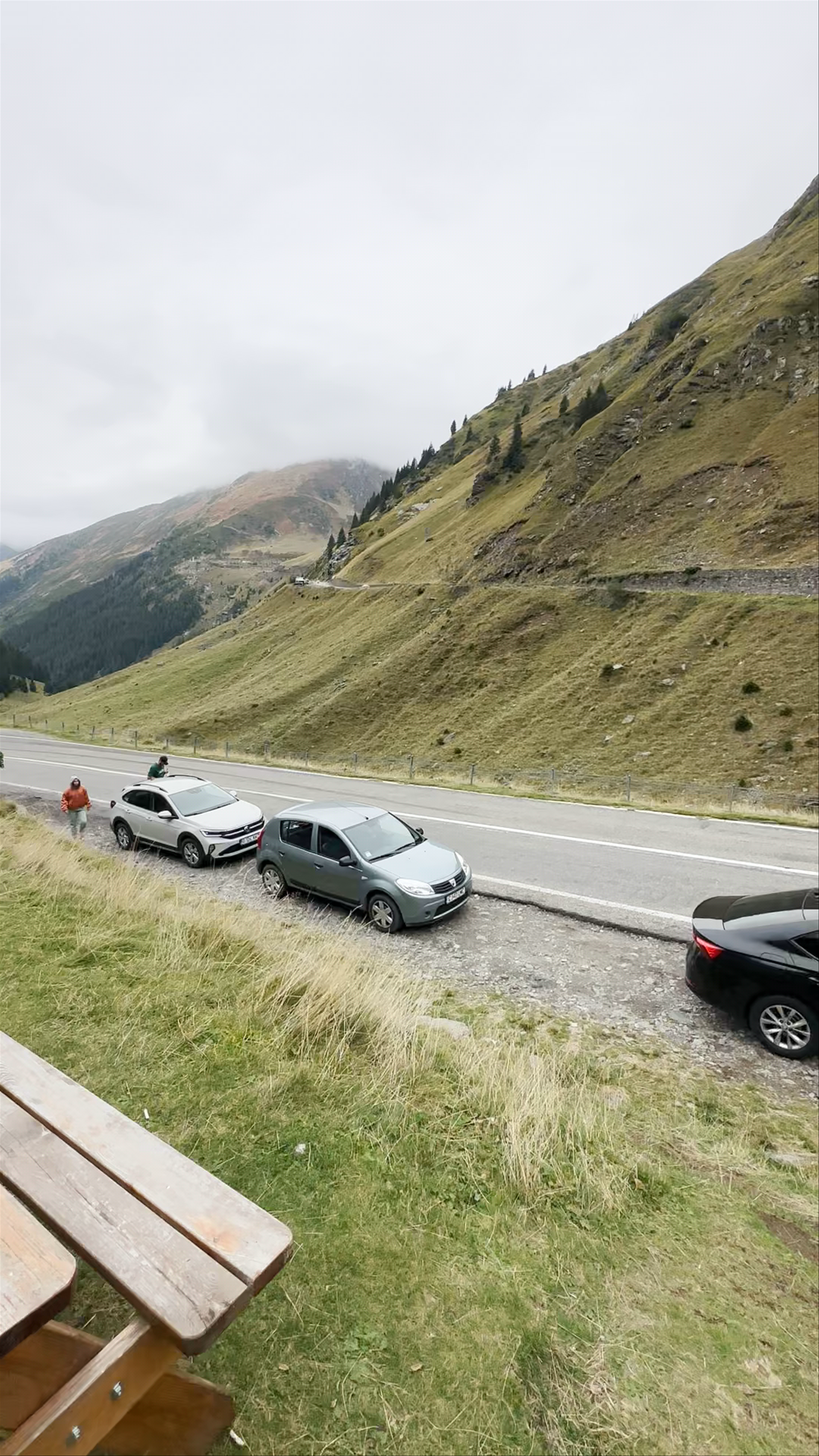 Magarusii prietenosi de pe Transfagarasan