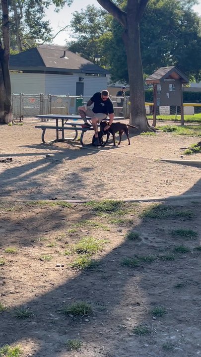 Baldy View Dog Park - Dog Parks Near Me - Upland, California