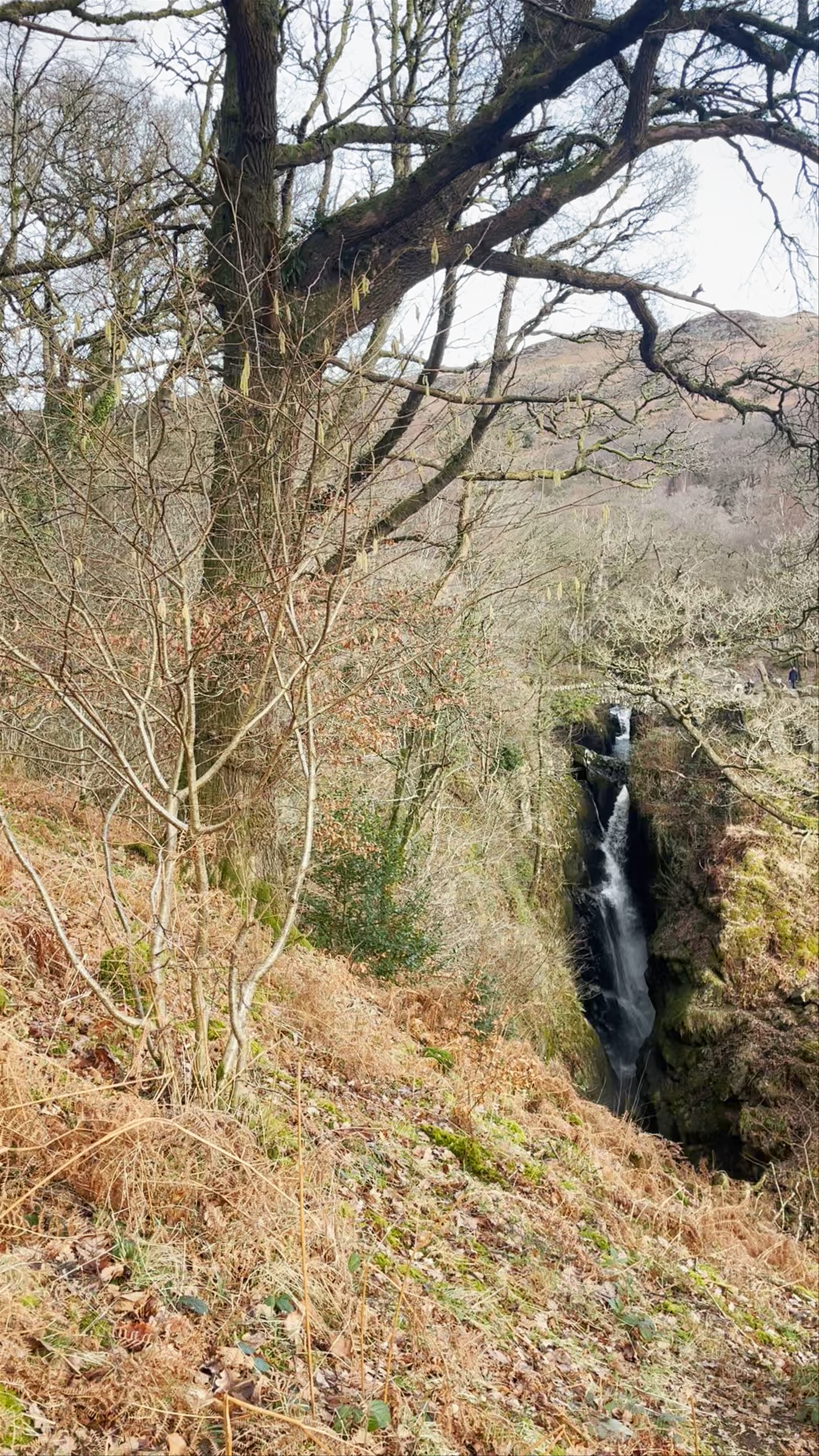 Aira Force Waterfall