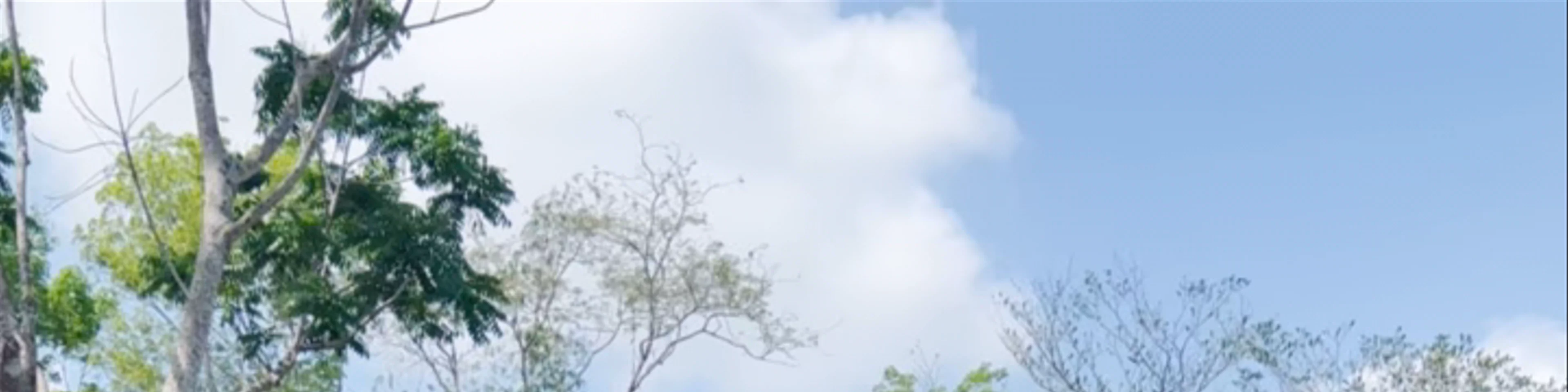 Phuket Elephant Sanctuary