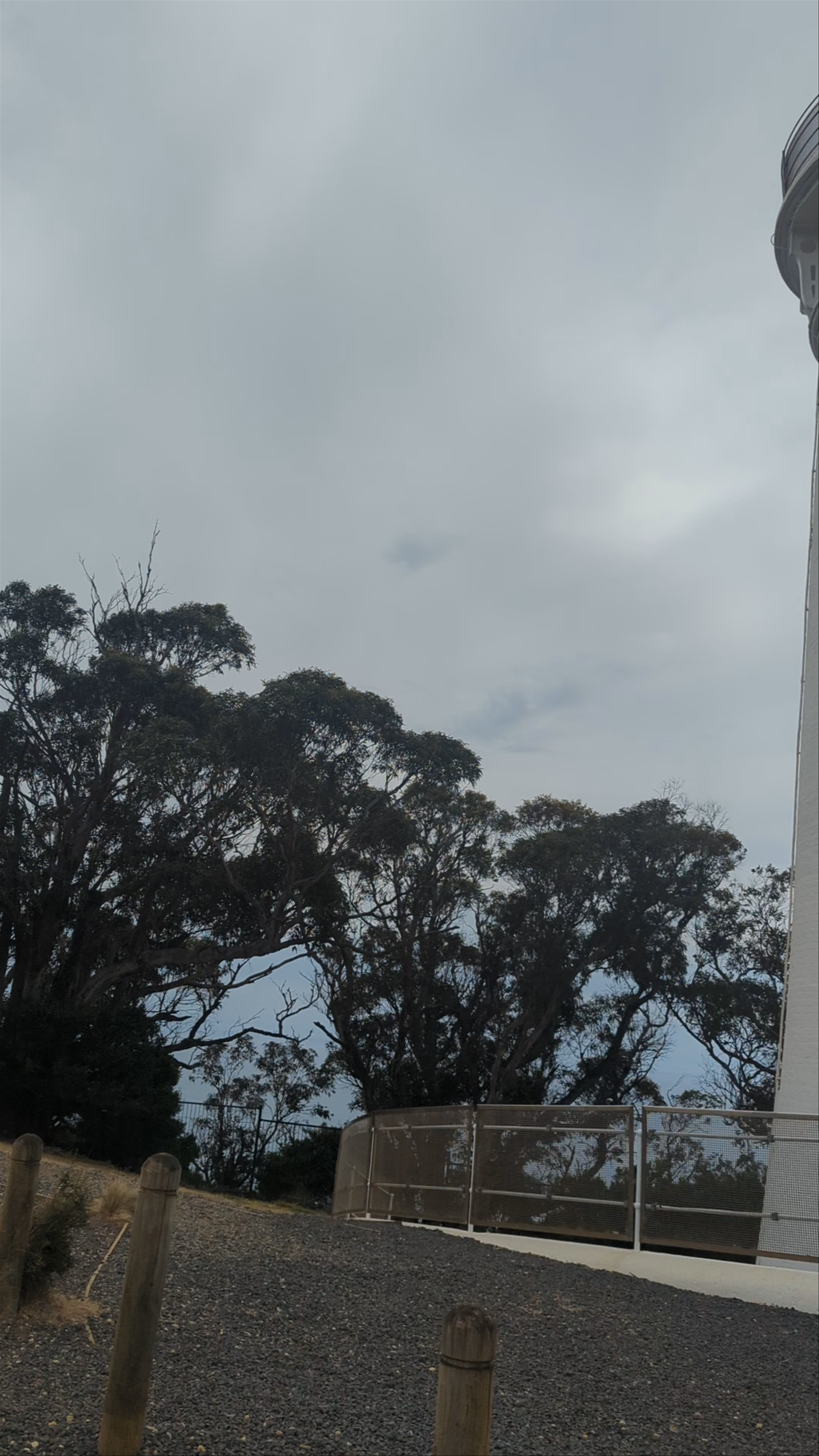 Table Cape Lighthouse Tours