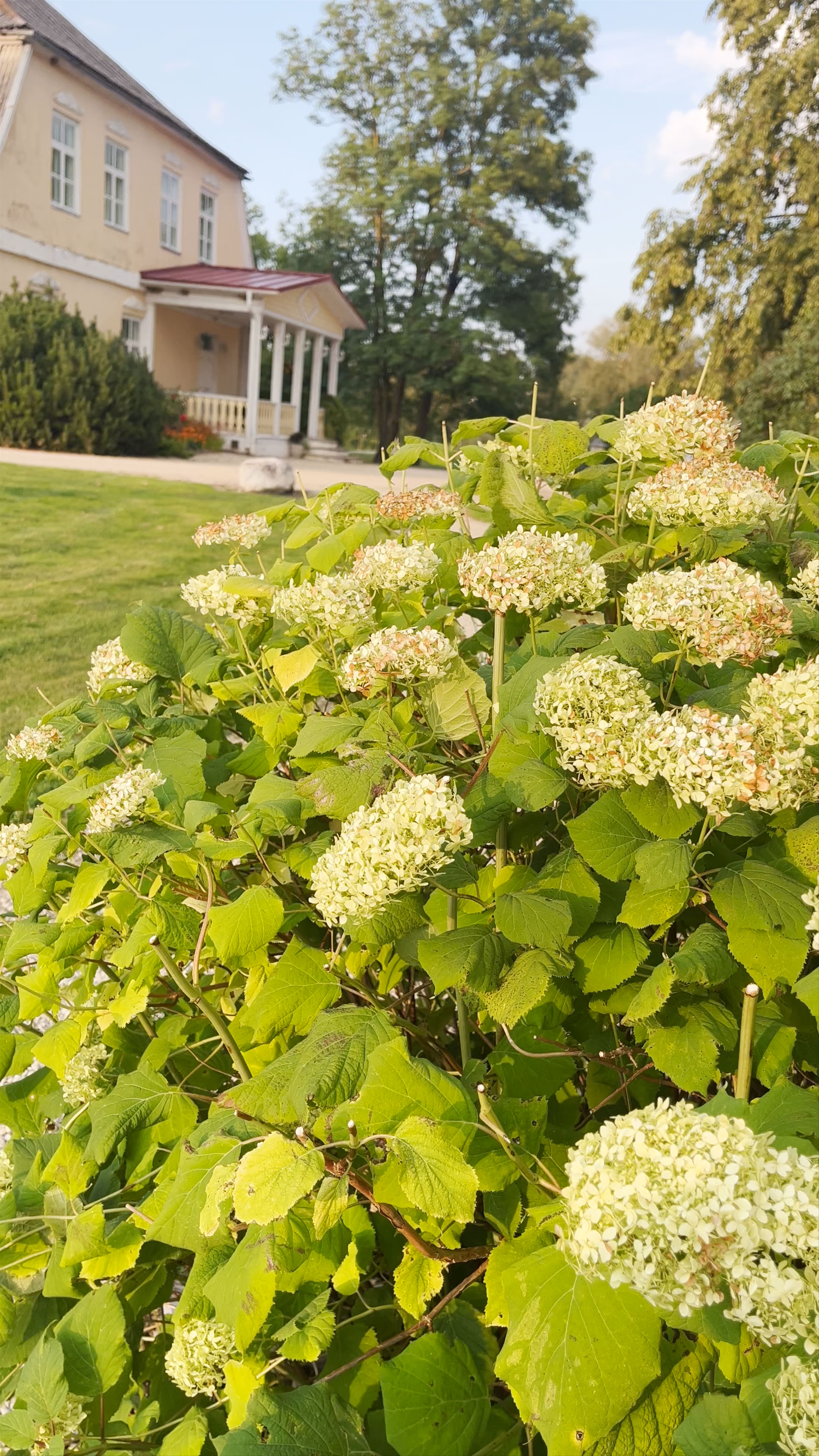 Codes Muiža Manor House and Gardens in Latvia