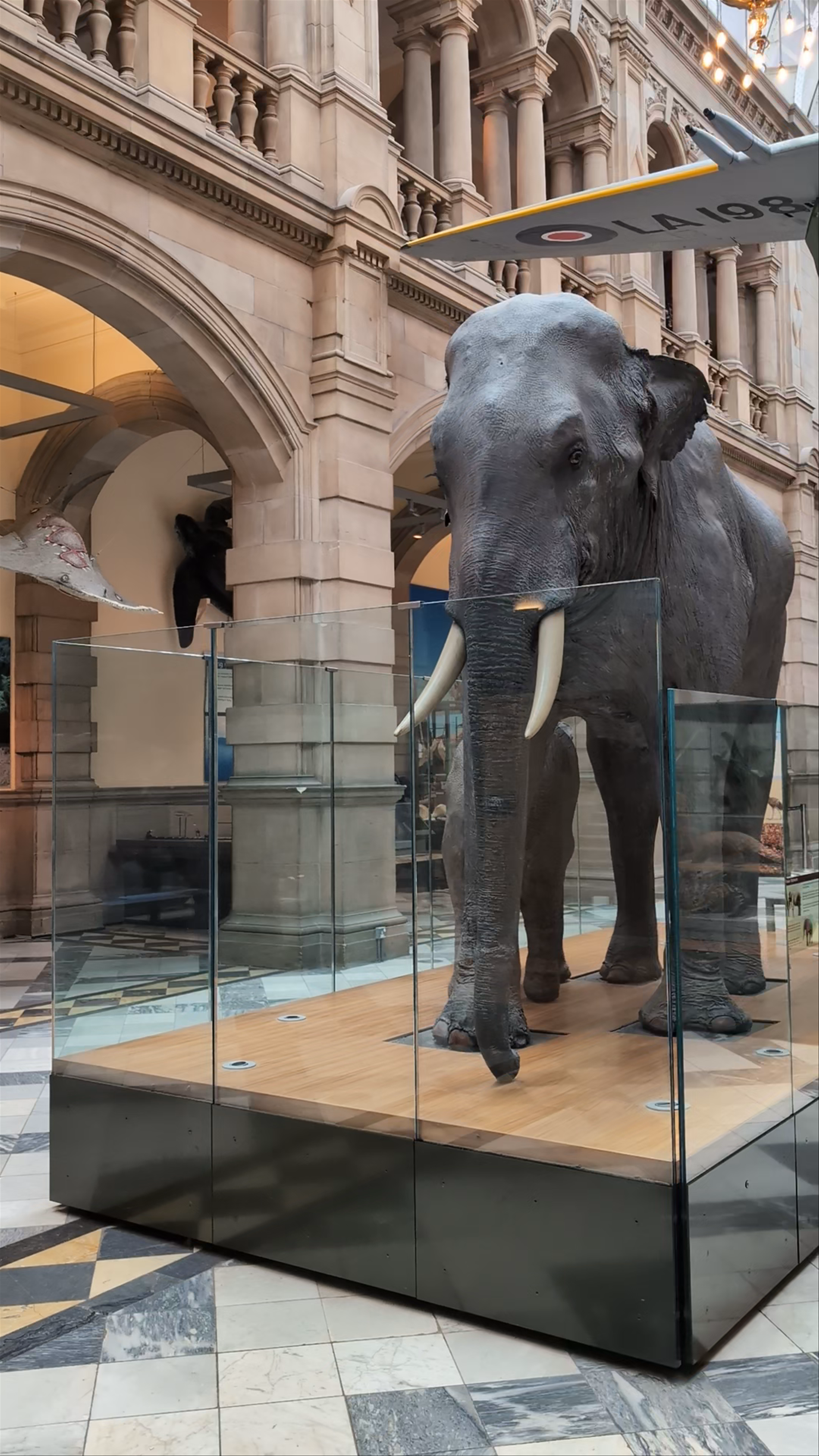 Kelvingrove Art Gallery and Museum