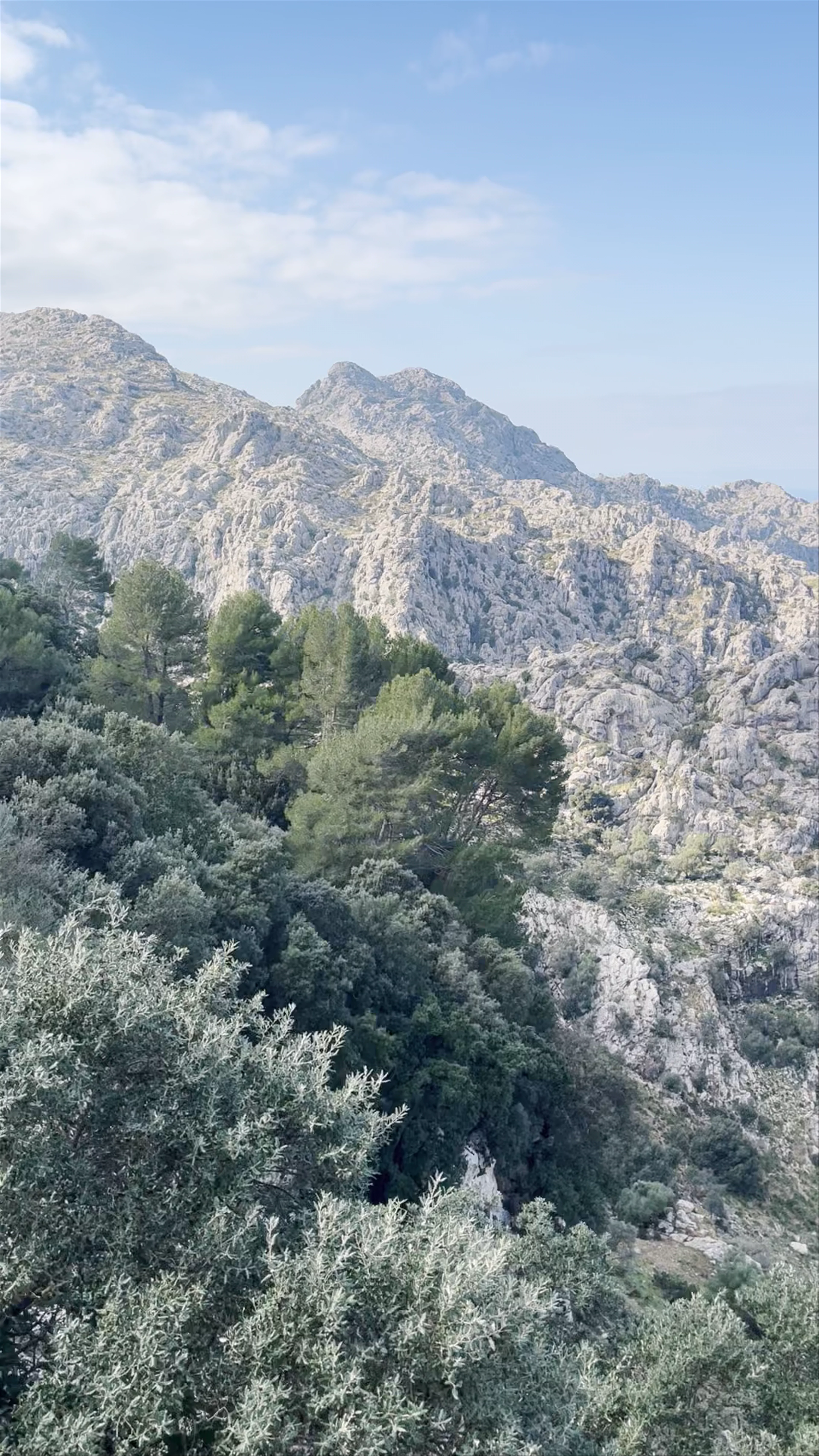 Puig Major