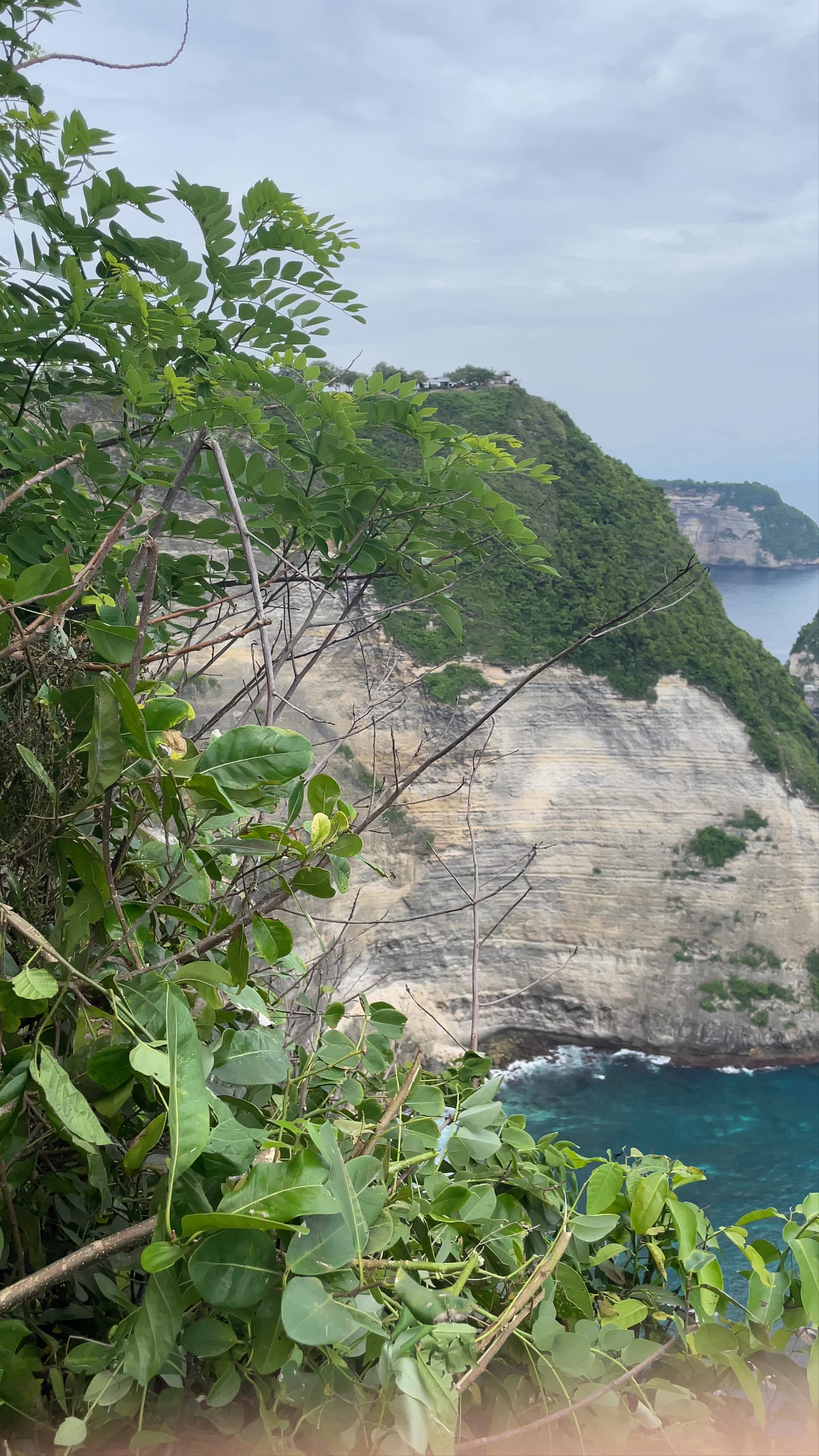 Kelingking Beach Nusa Penida