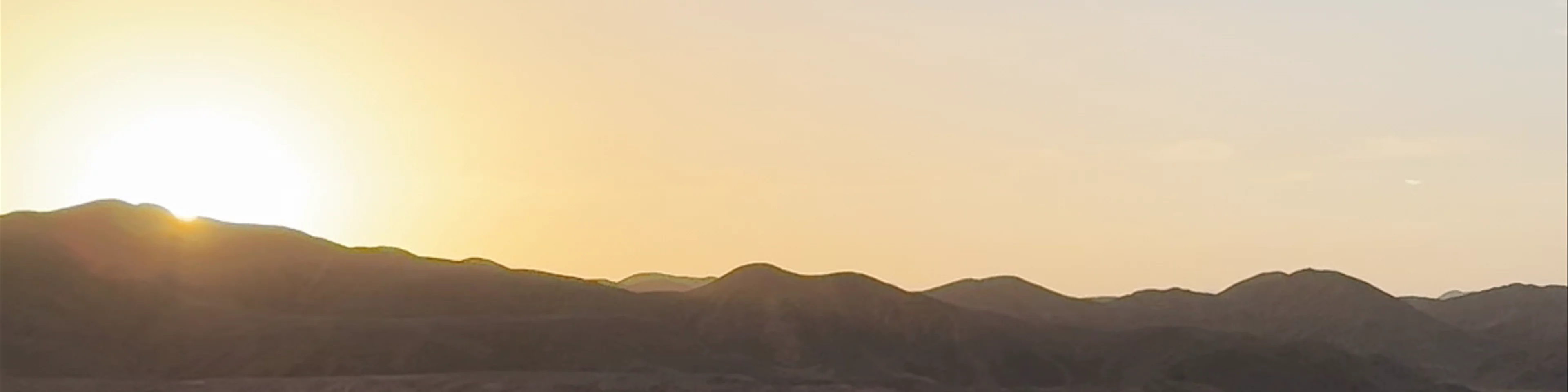 Gazelle.Safari.Rmf