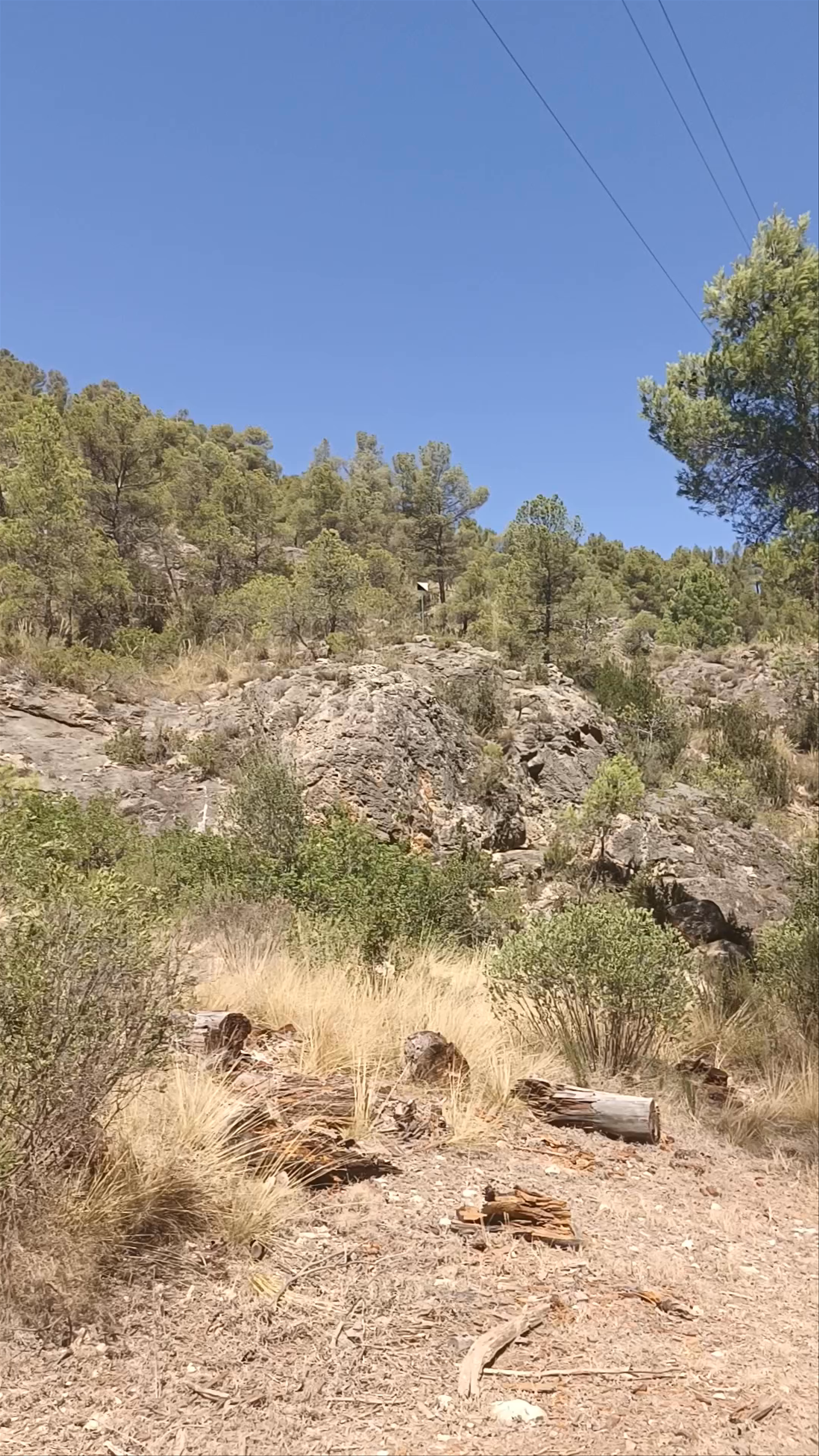 Arroyo de Letur