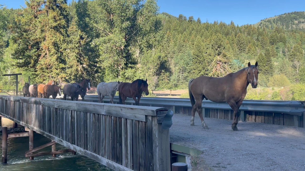 Spotted Horse Ranch - Hotels Near Me - Jackson, Wyoming