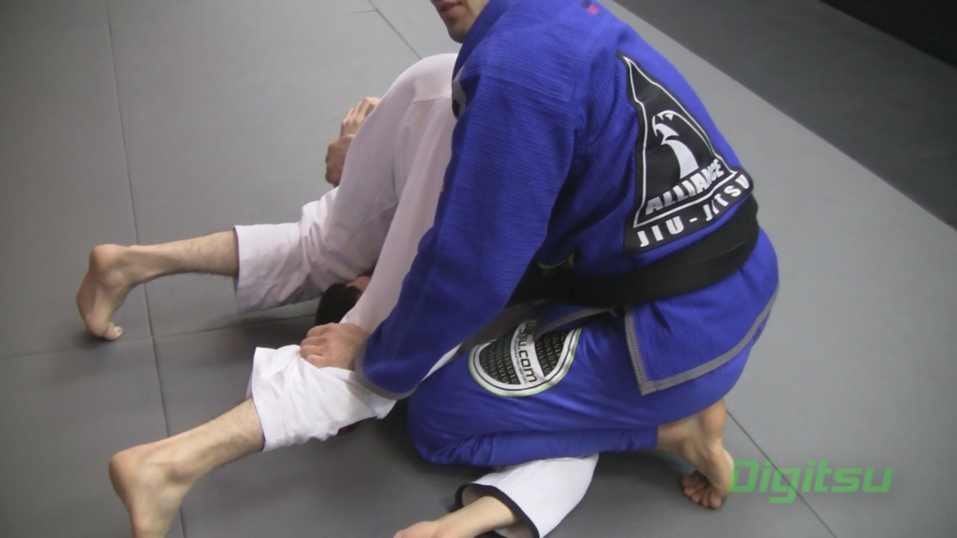 Spider Guard Dump Pass to Bread Cutter Choke