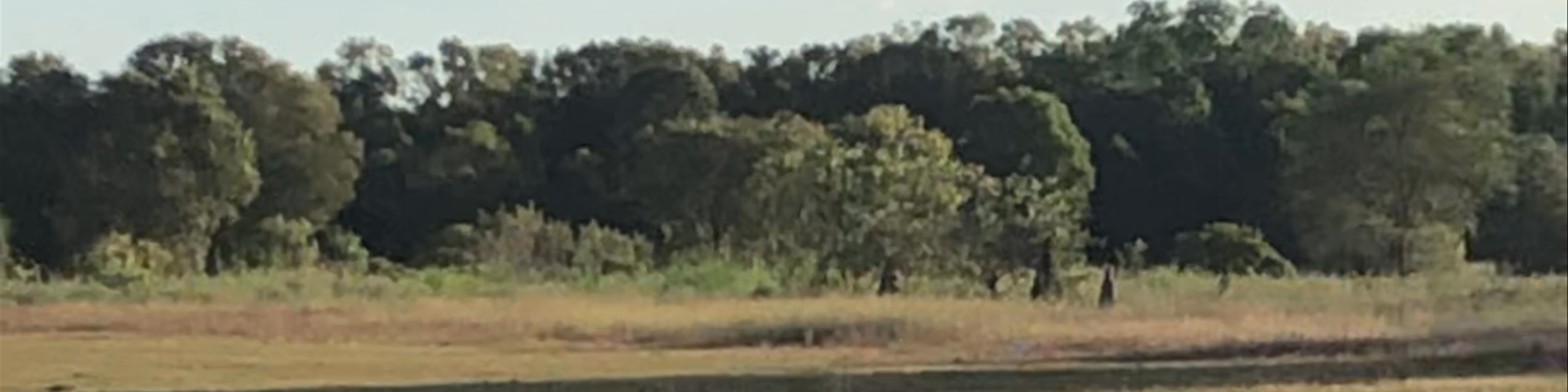 Marrakai