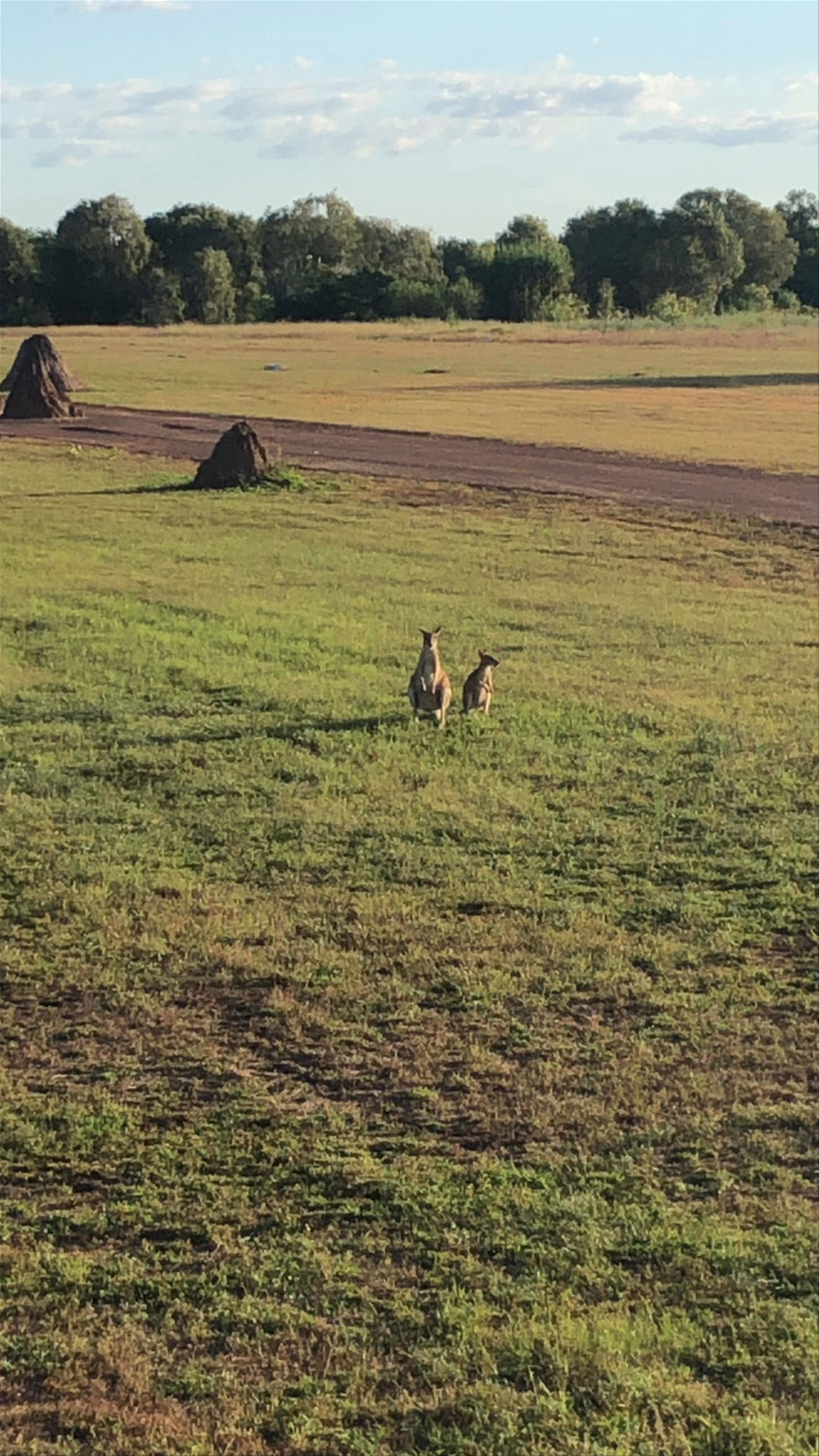 Mary River National Park