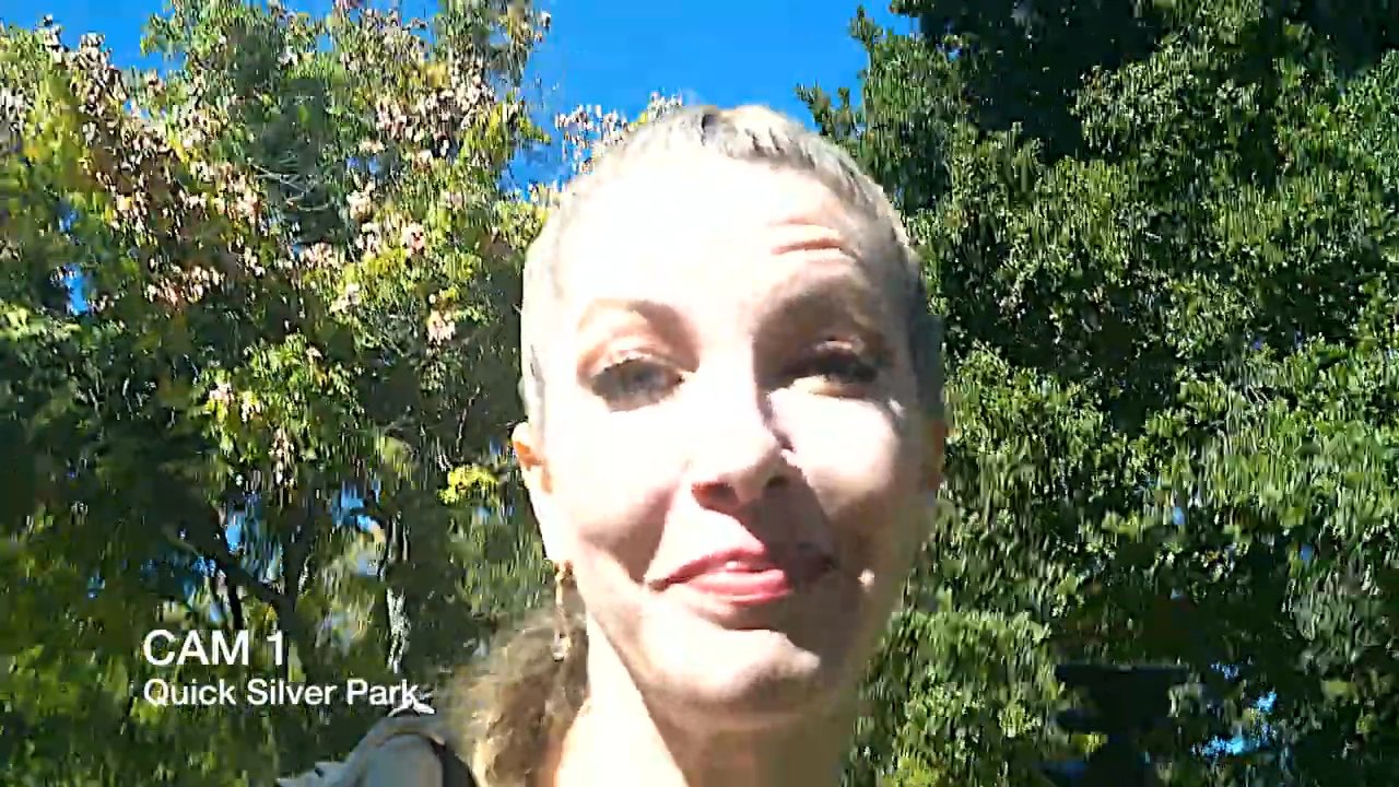 A woman records a video update while walking through a sunny, wooded park setting. The narrative progresses as the scene transitions through a thirty-minute interval.