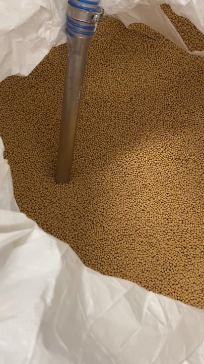 Phoenix Bean - Soy beans - Specialty Food Near Me - Chicago, Illinois