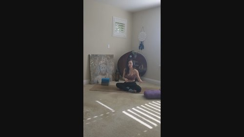Exploring the Spine through Alignment Yoga Flow