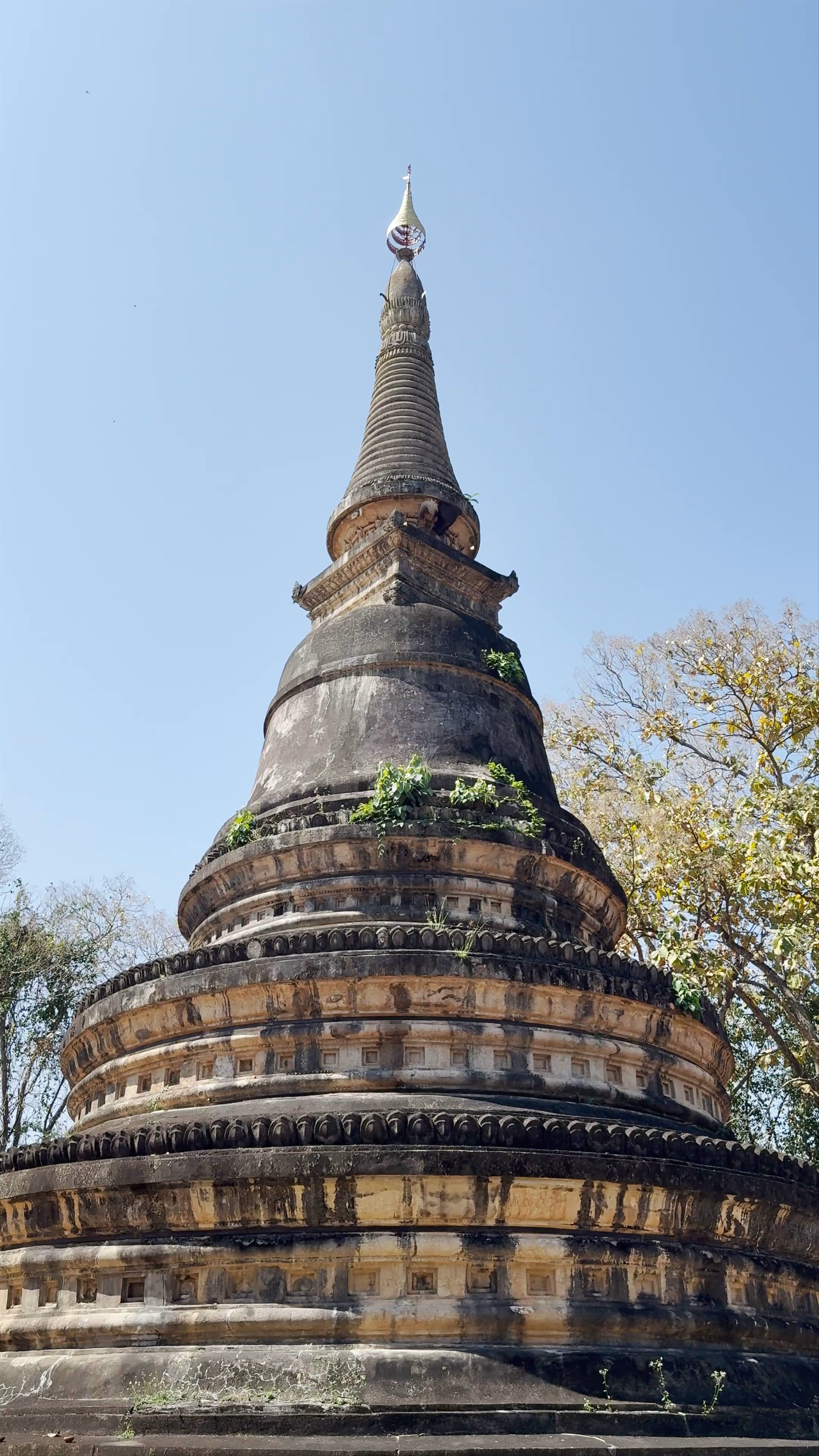 Chedi Wat Umong: Serene Ancient Stupa in Chiang Mai