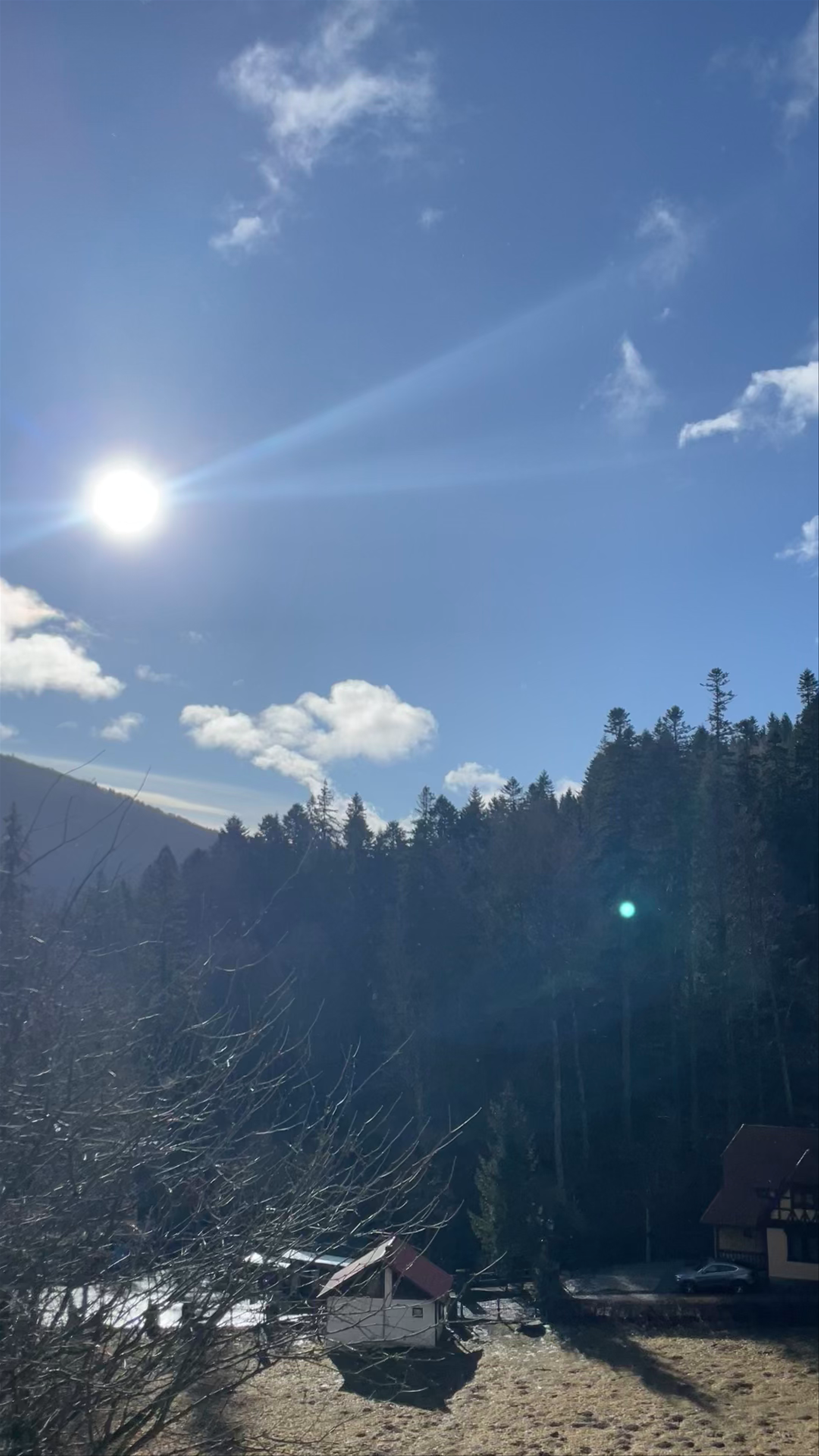 Majestic Winter Sun over Peleș Castle in Sinaia, Romania