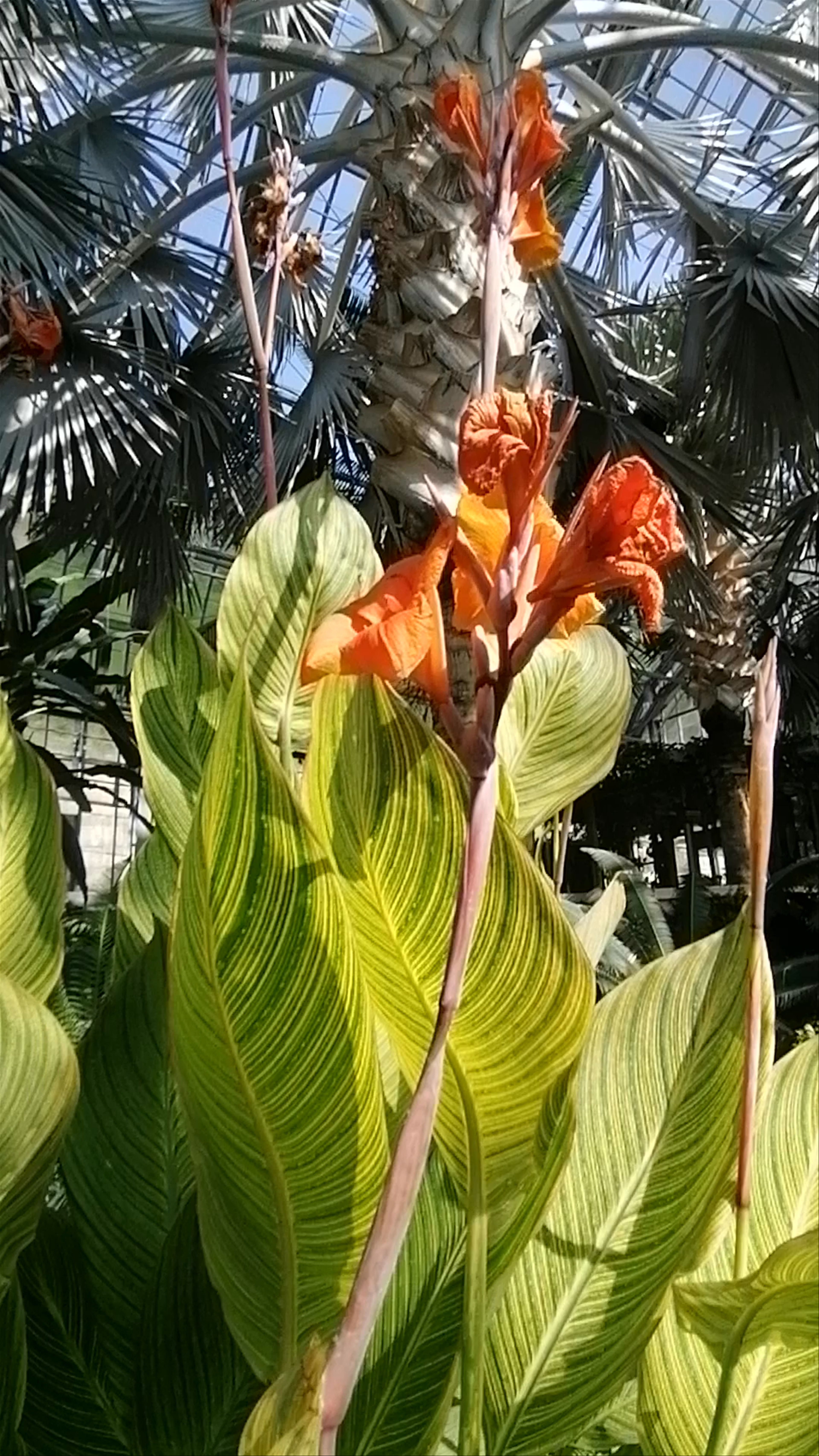Lauritzen Gardens/Kenefick Park