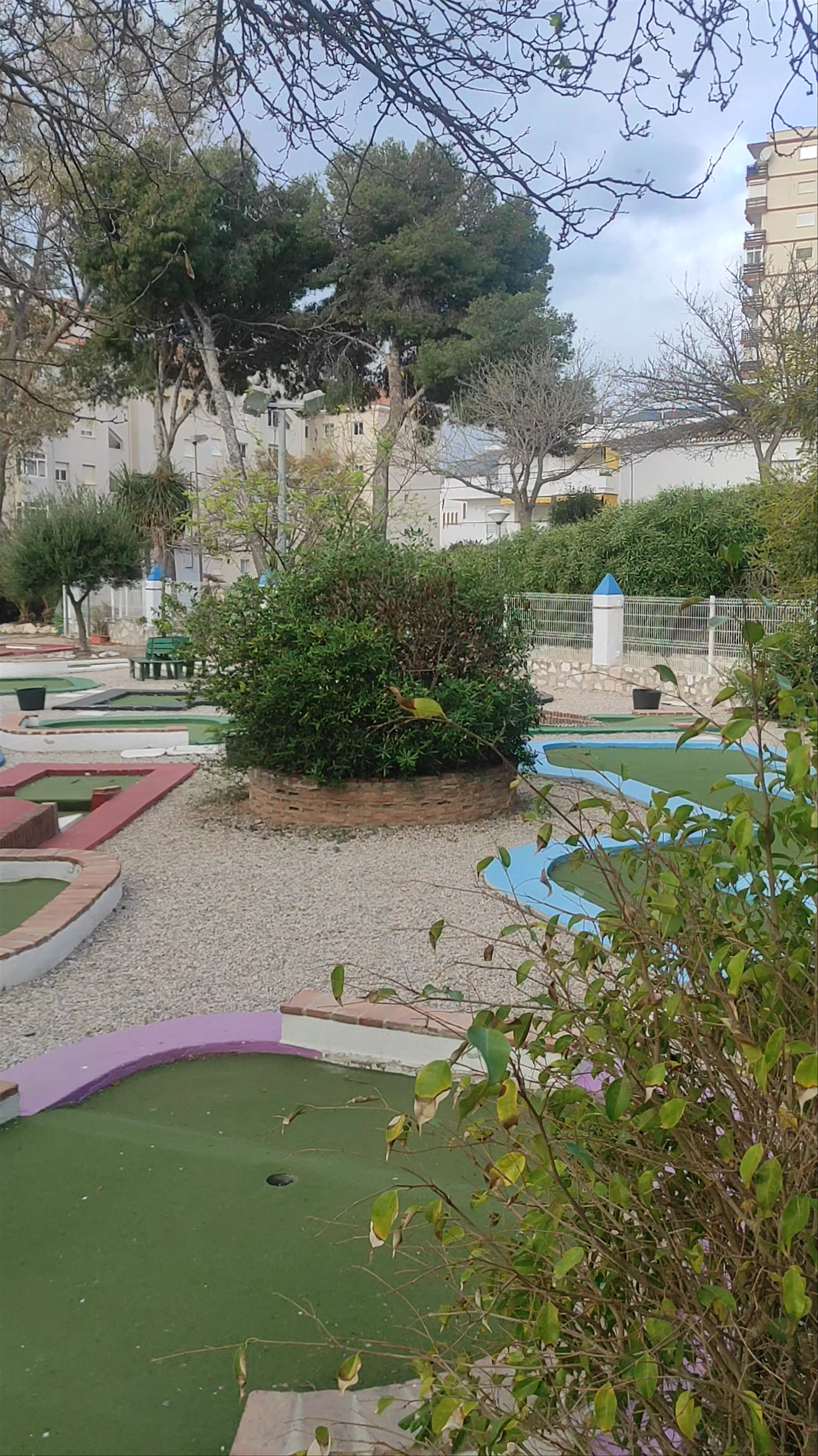 Blue Kiwi Mini Golf Bar