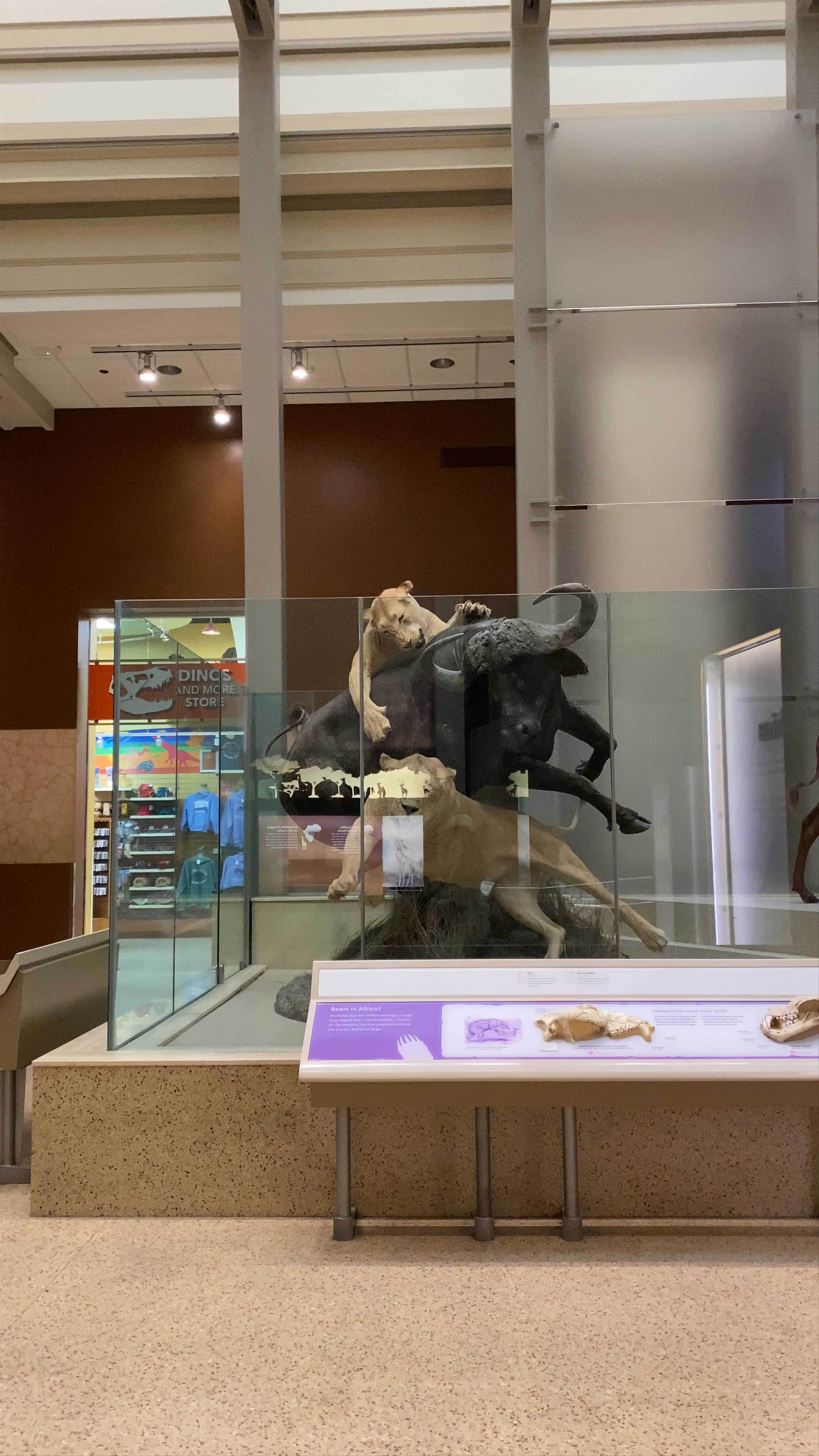 Smithsonian National Museum of Natural History