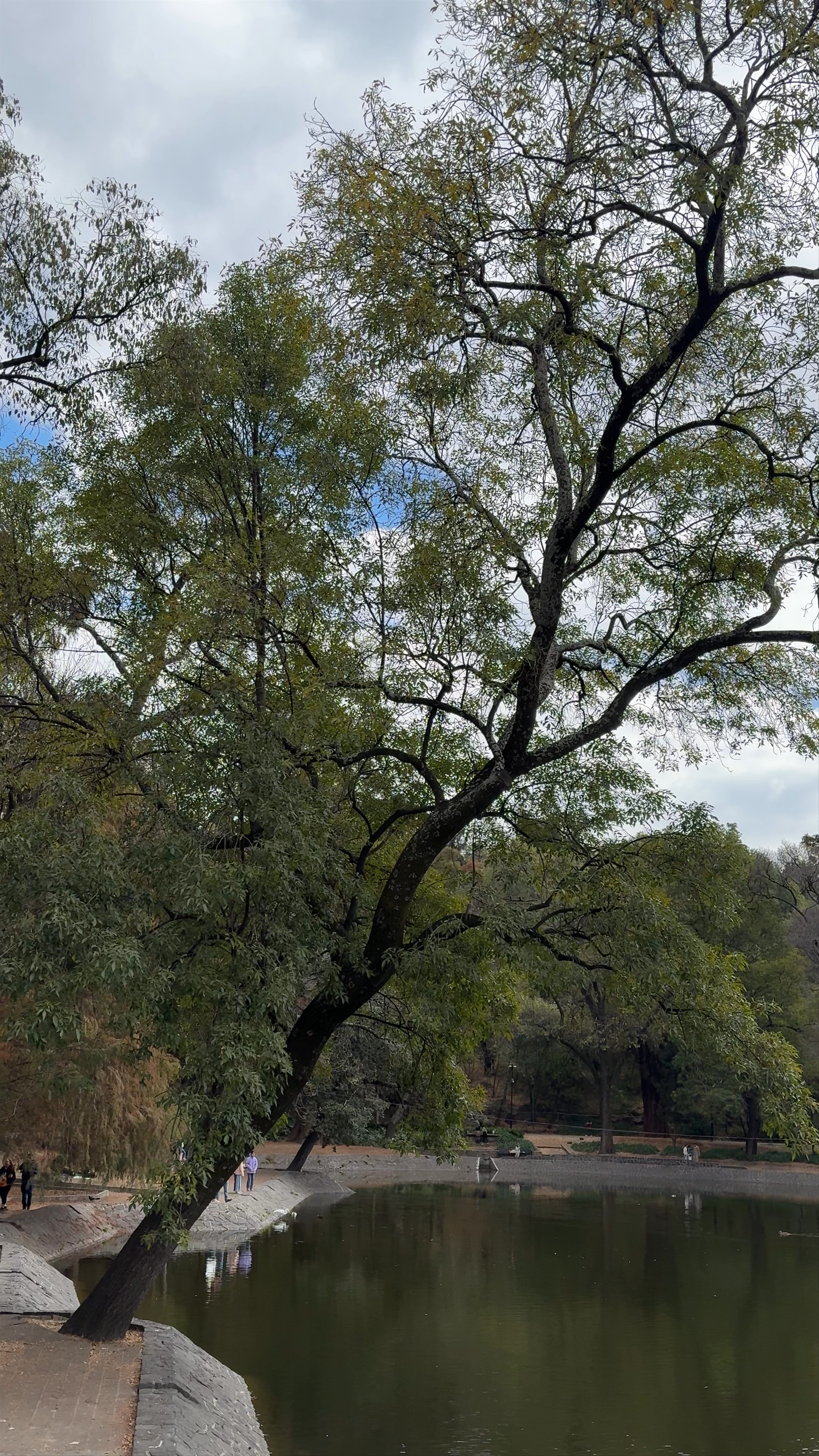 Lago de Chapultepec