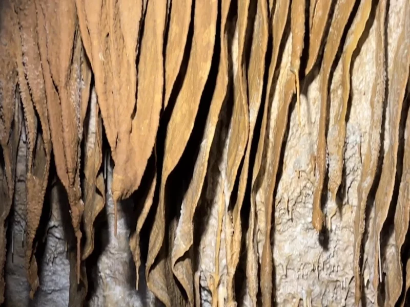 Tasmania's hidden gems