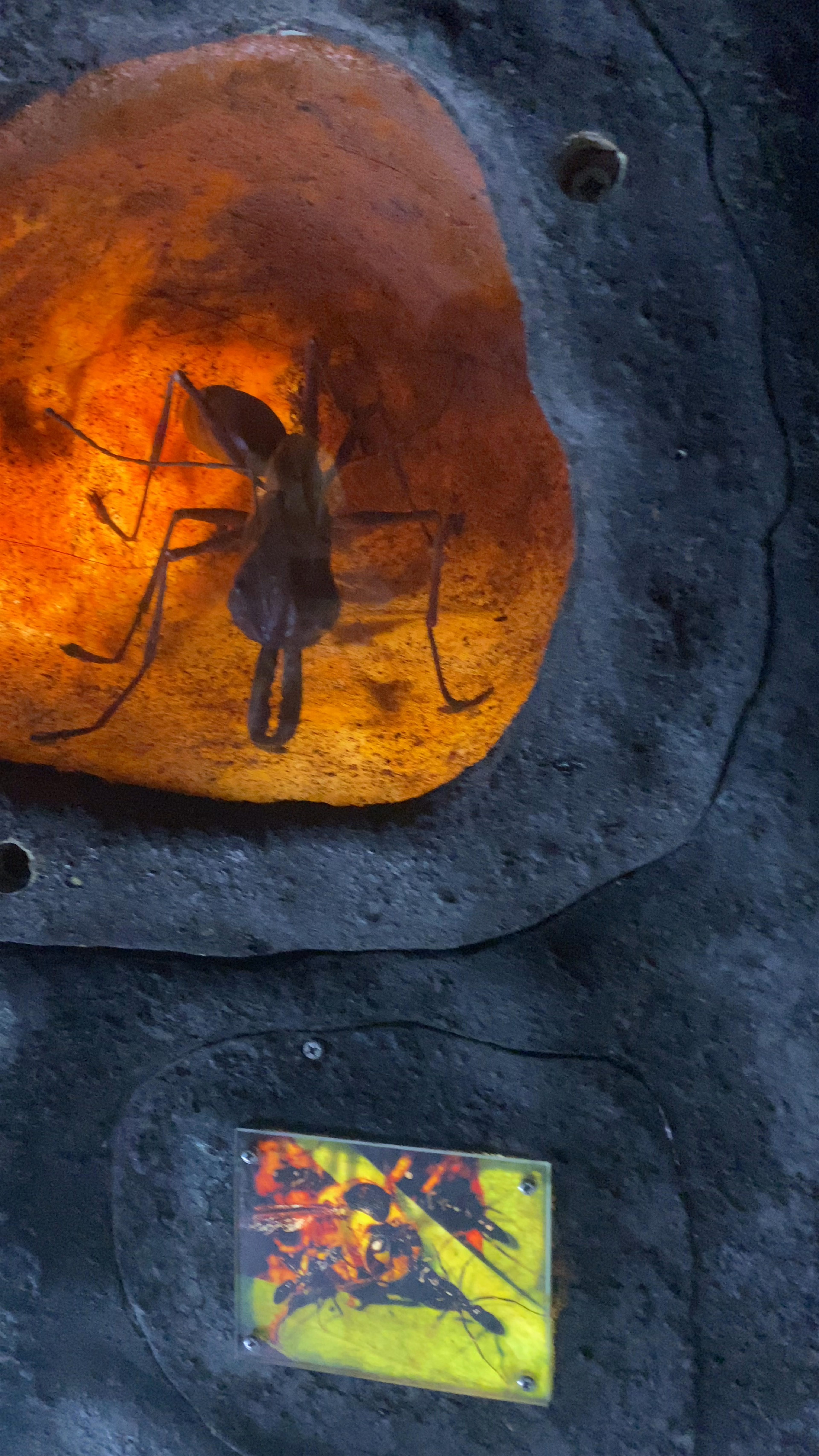 Kadoorie Farm and Botanic Garden