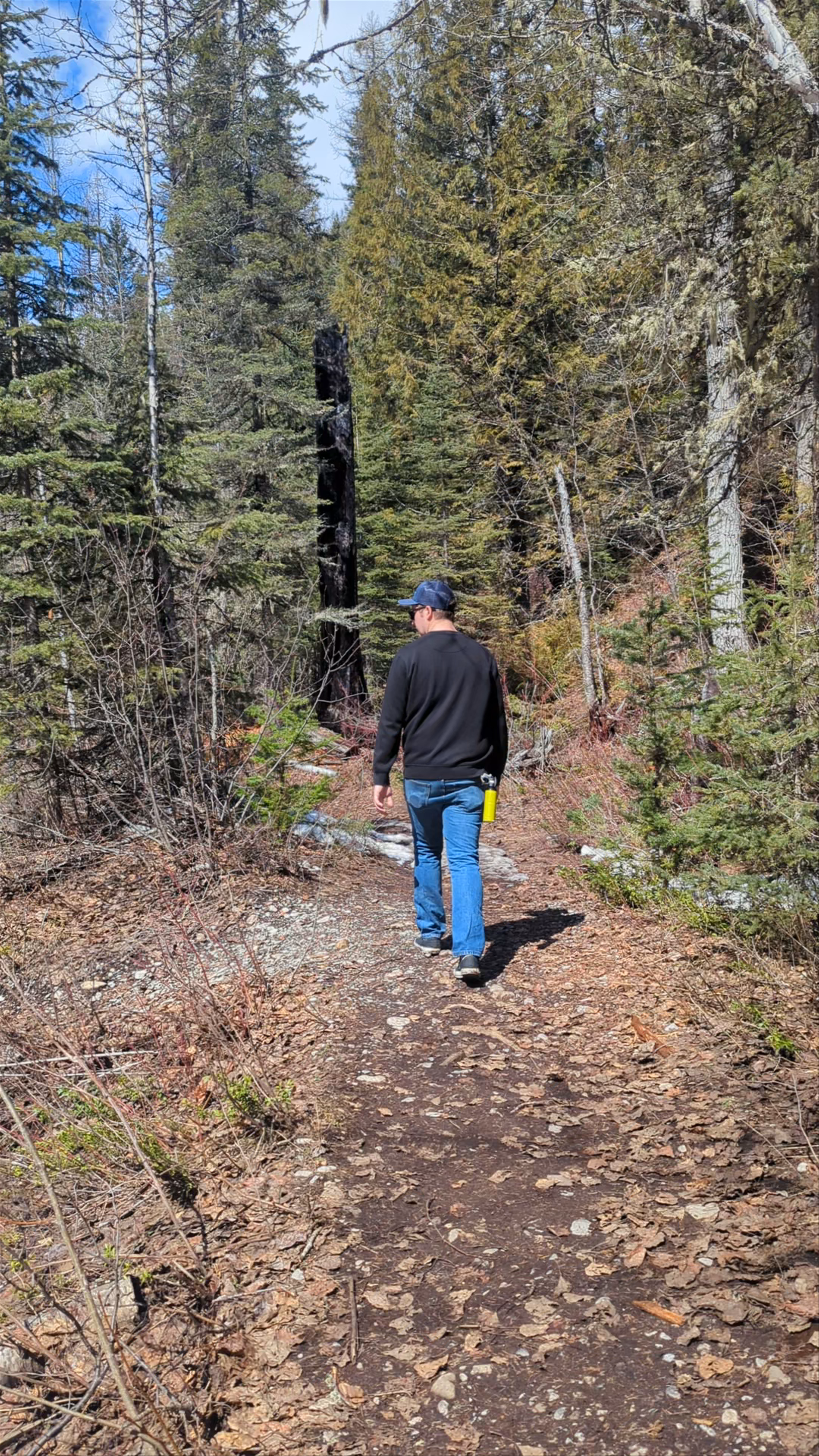 Fairy Creek Waterfall: Serene Spring Hike Near Fernie, British Columbia