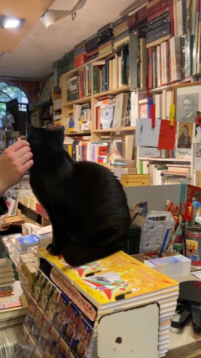 Libreria Acqua Alta - Bookstores Near Me - Venezia, VE