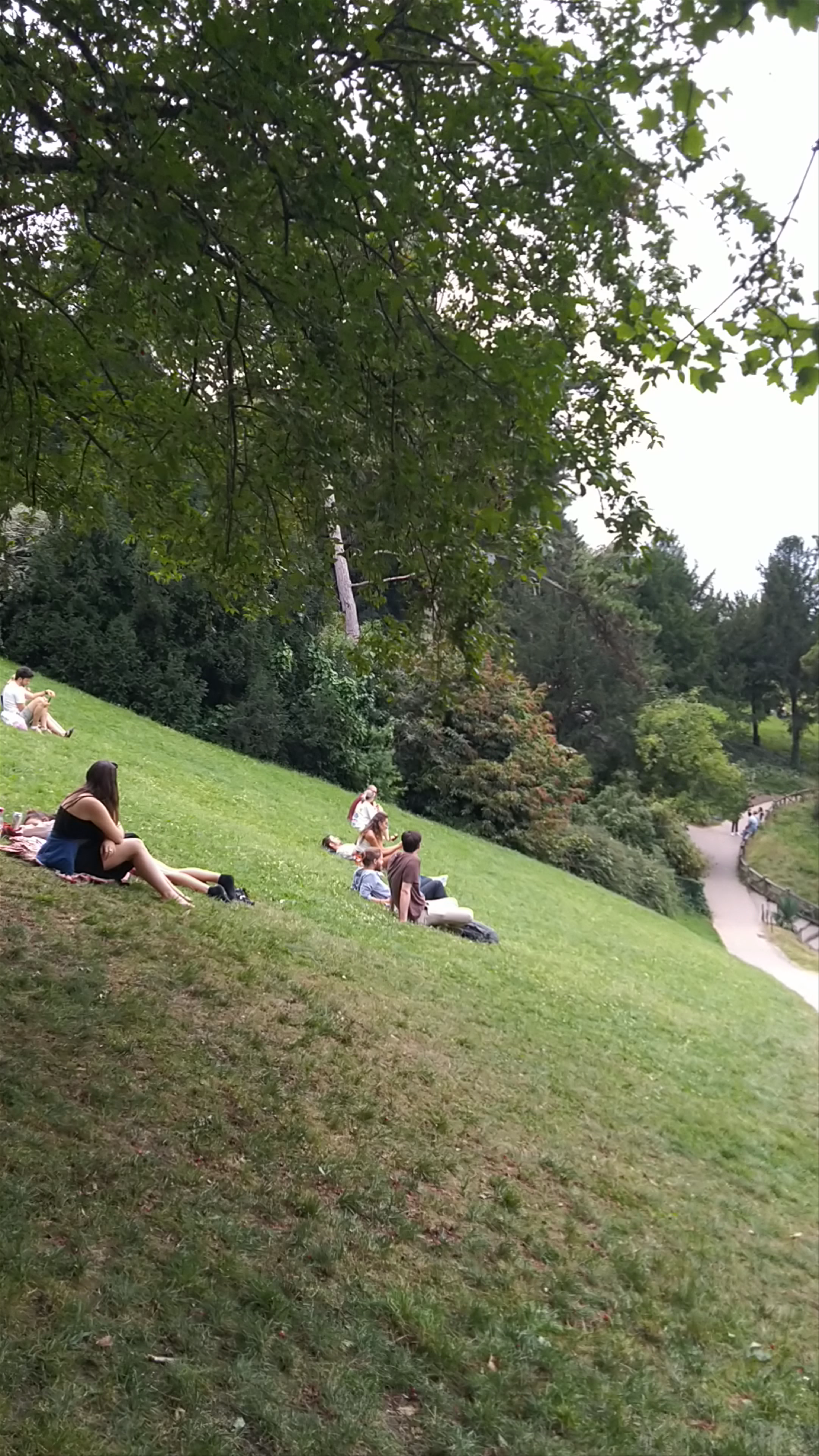 Serene Escape at Buttes-Chaumont Park, Paris