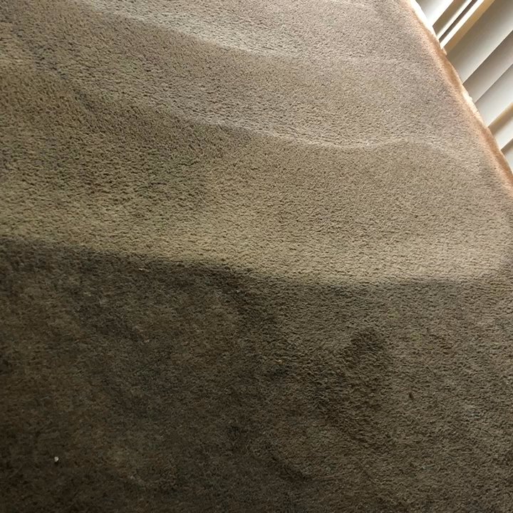 Sergio's Carpet Cleaning - Carpet Cleaning Near Me