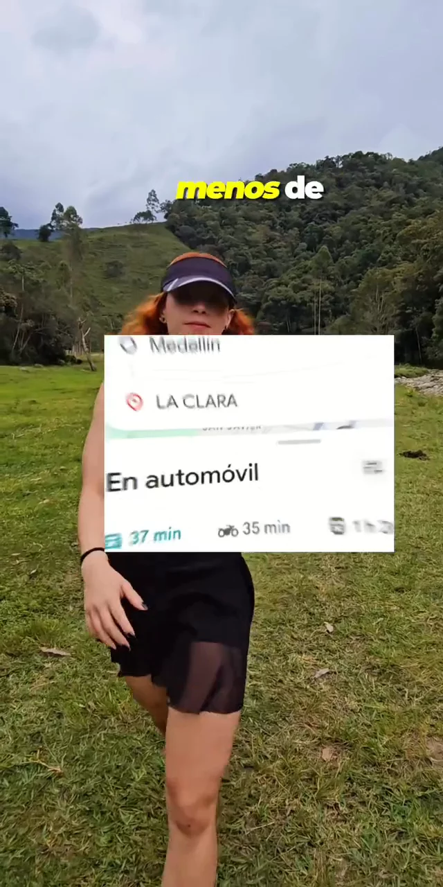 Contenido del creador