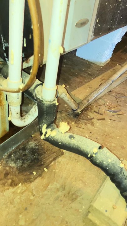 Green Leaf Plumbing, AC, and Heating - Asked for a diagnosis, didn't mention the obvious busted drain pan - Heating & Air Conditioning/HVAC Near Me - Hutto, Texas